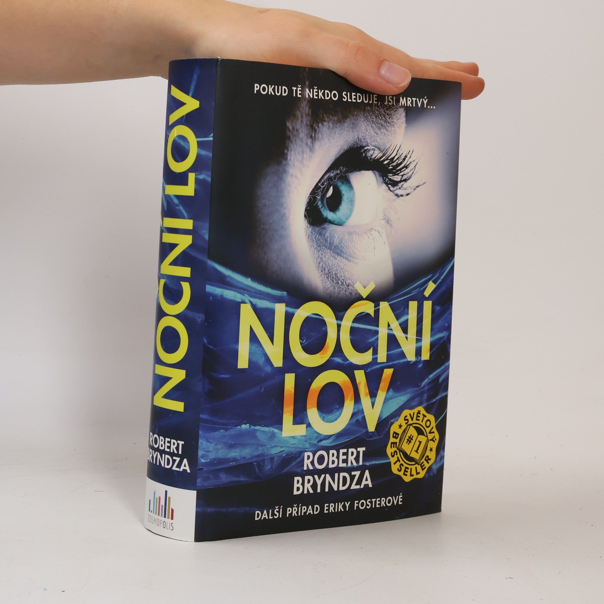 Robert Bryndza Noční lov