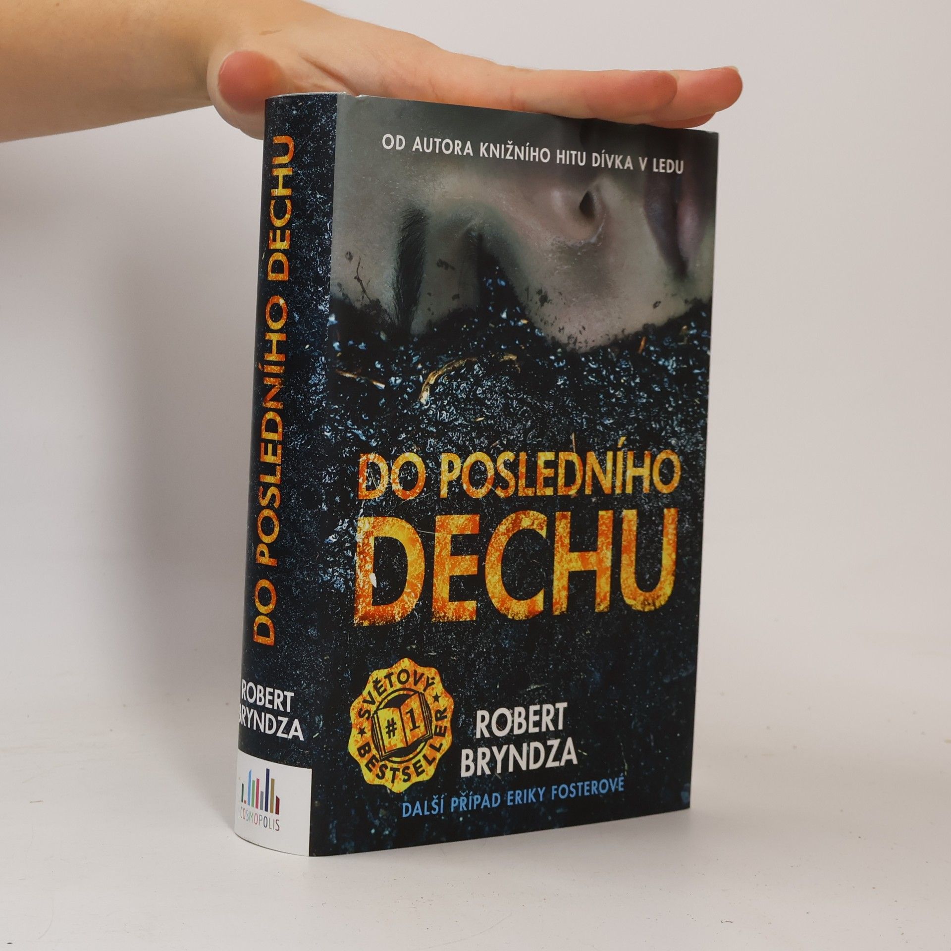 Robert Bryndza Do posledního dechu