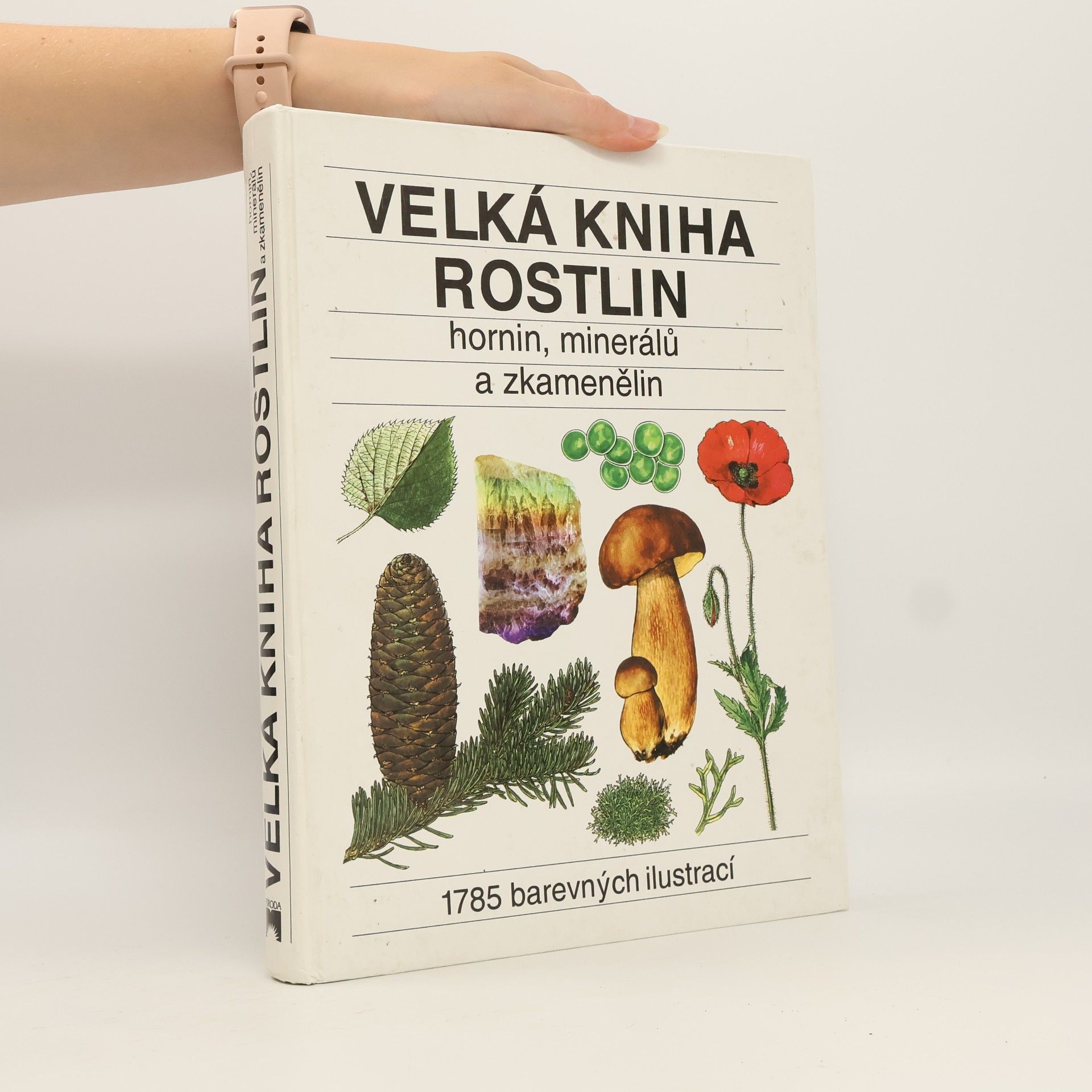 Jindřich Krejča Velká kniha rostlin, hornin, minerálů a zkamenělin