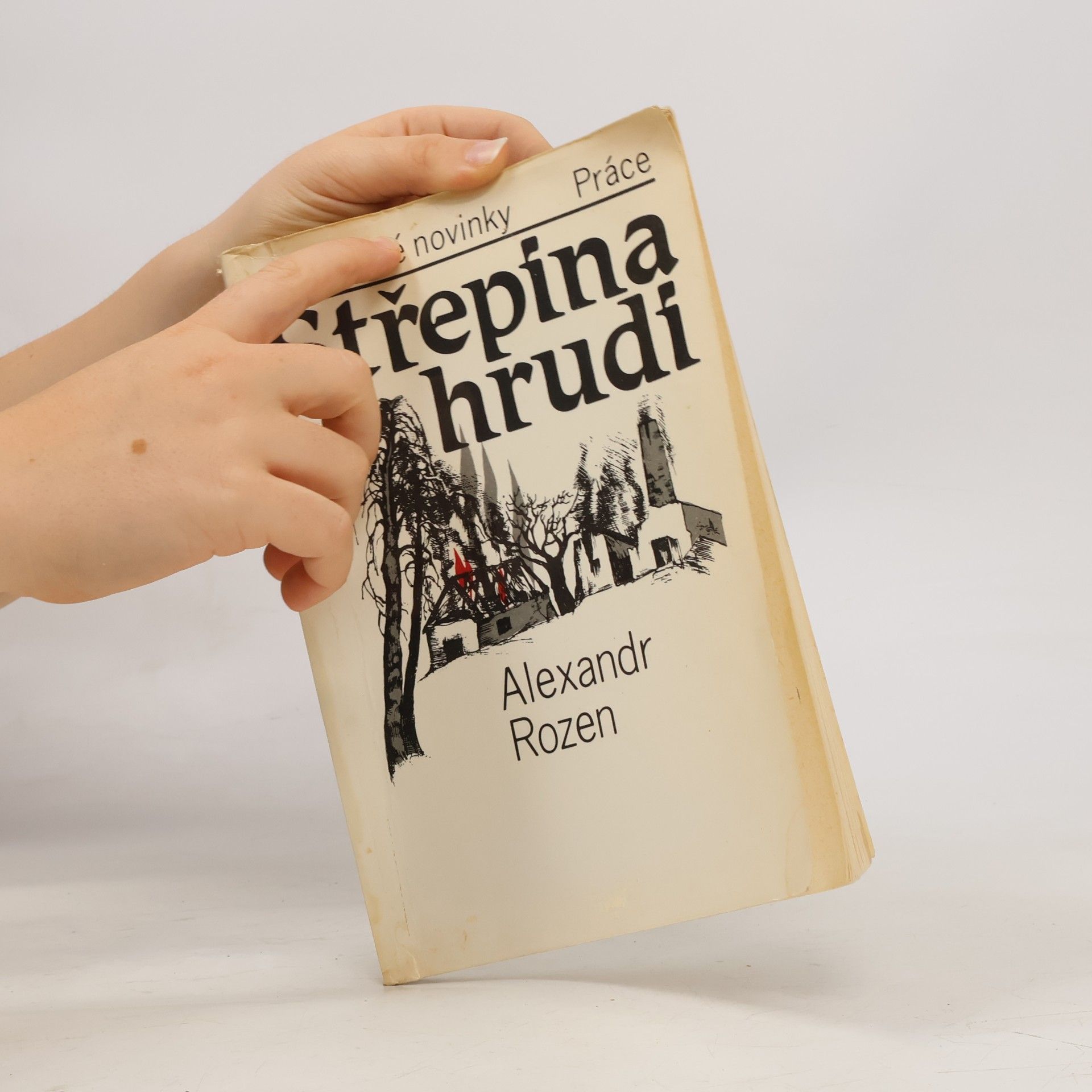 Aleksandr Germanovič Rozen Střepina v hrudi