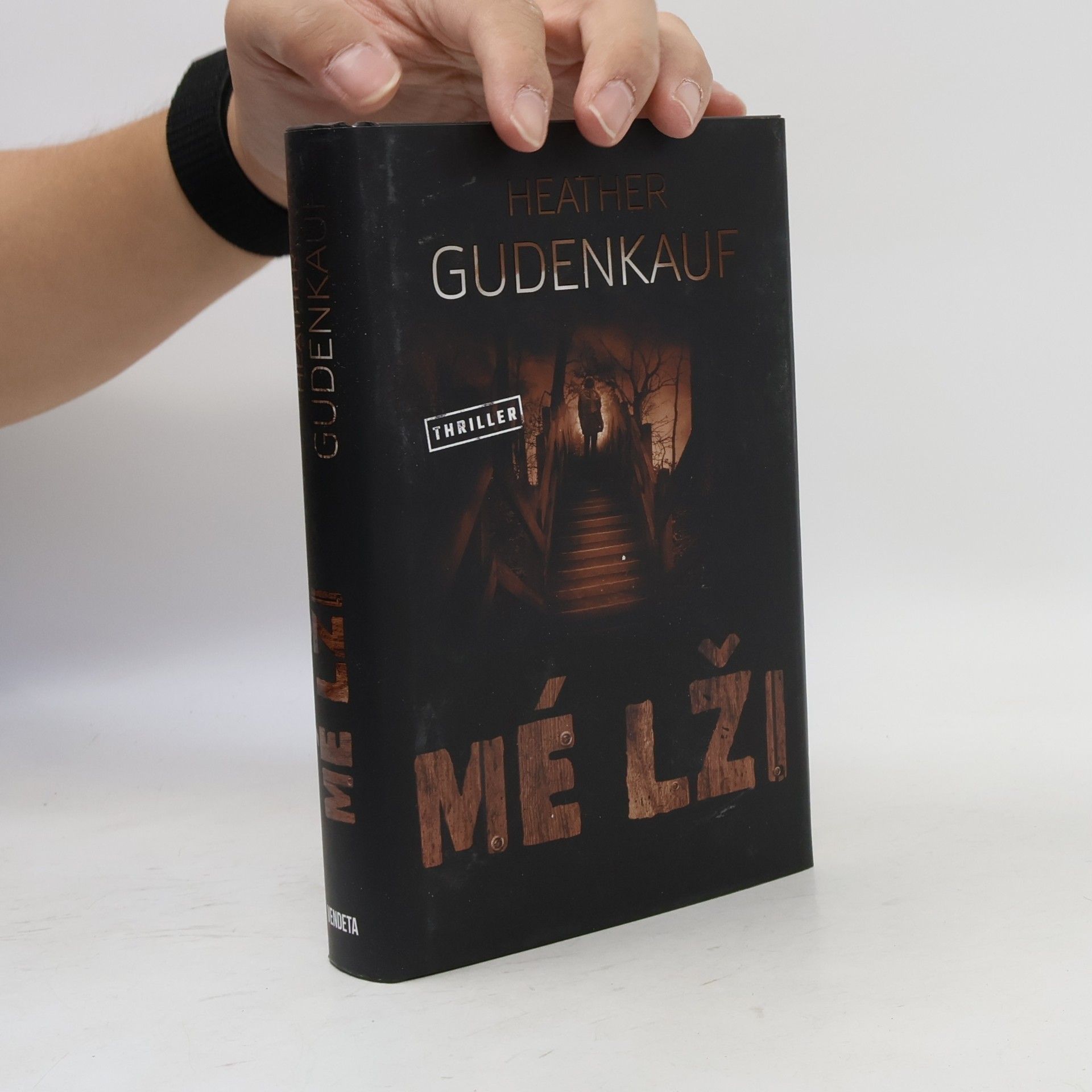 Heather Gudenkauf Mé lži