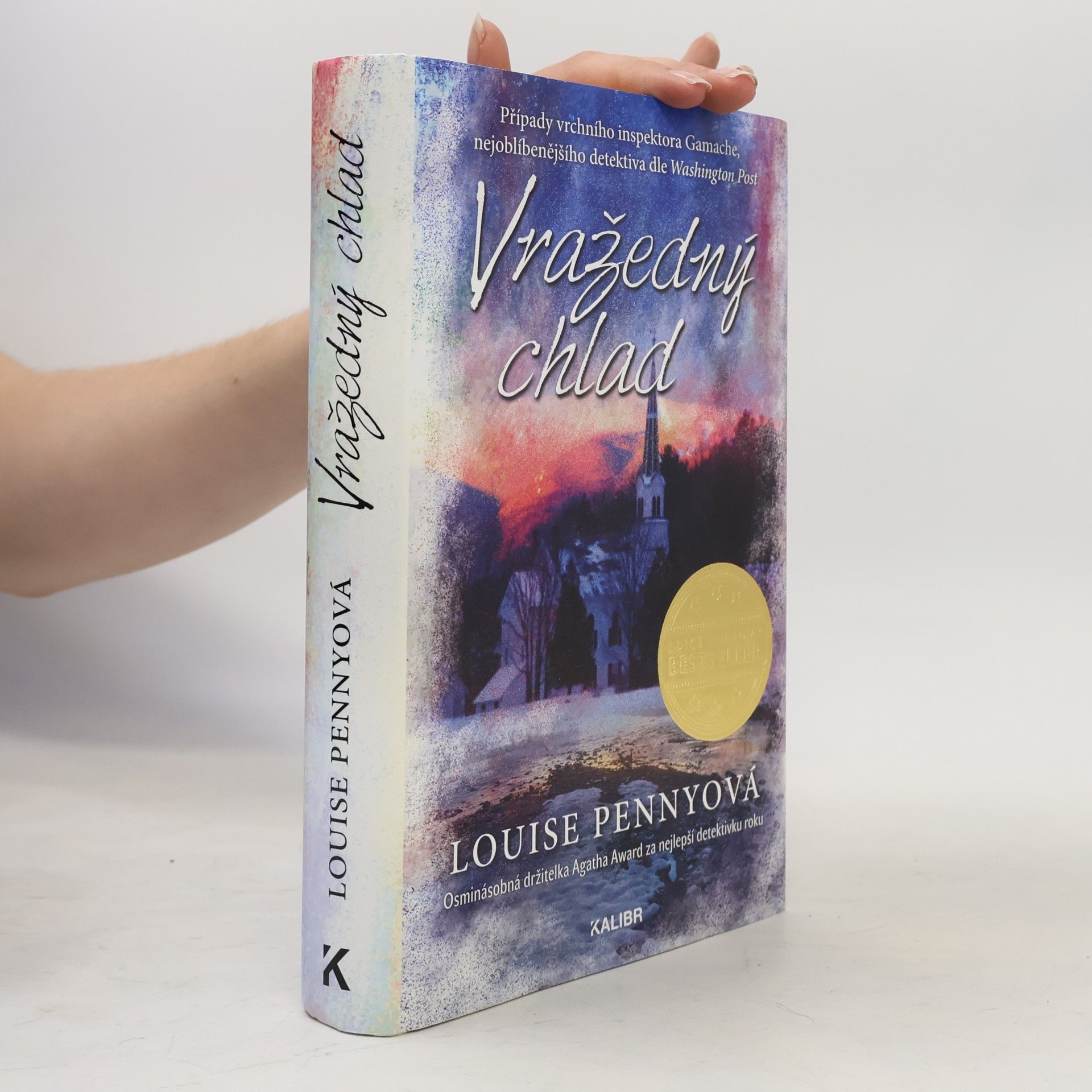 Louise Penny Vražedný chlad