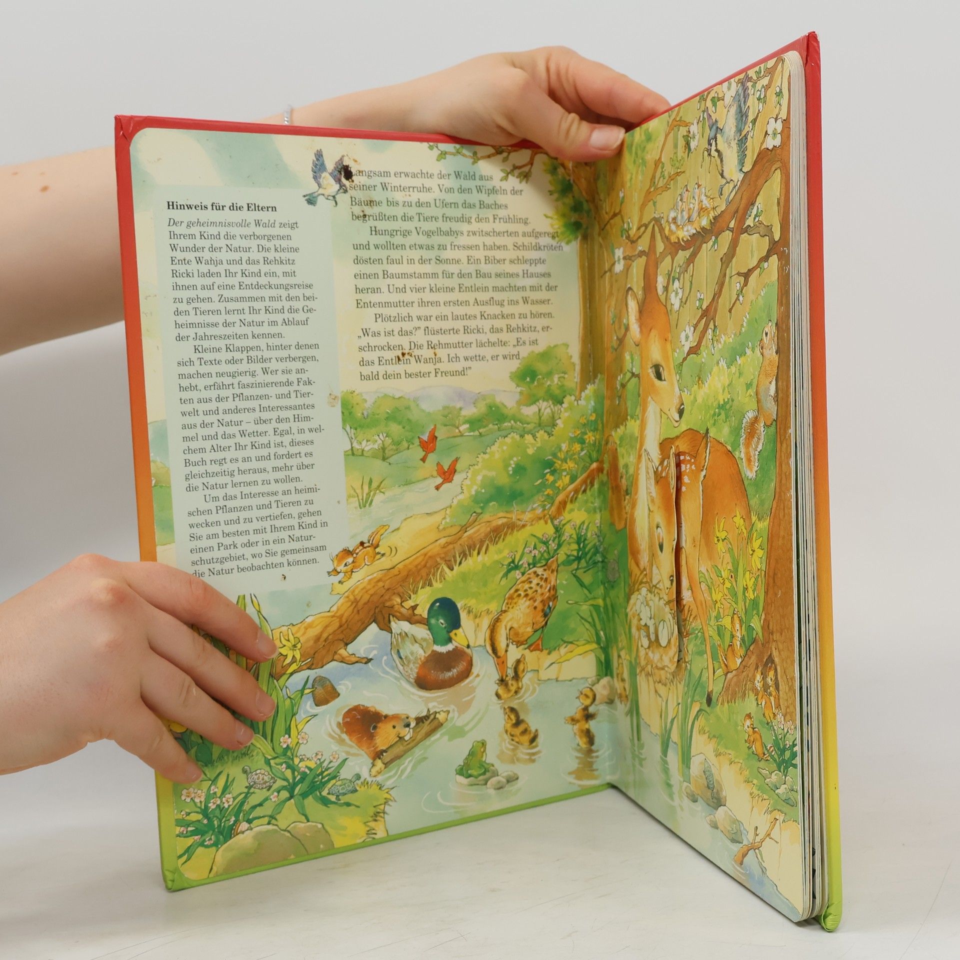 Marianne Tölle Der geheimnisvolle Wald