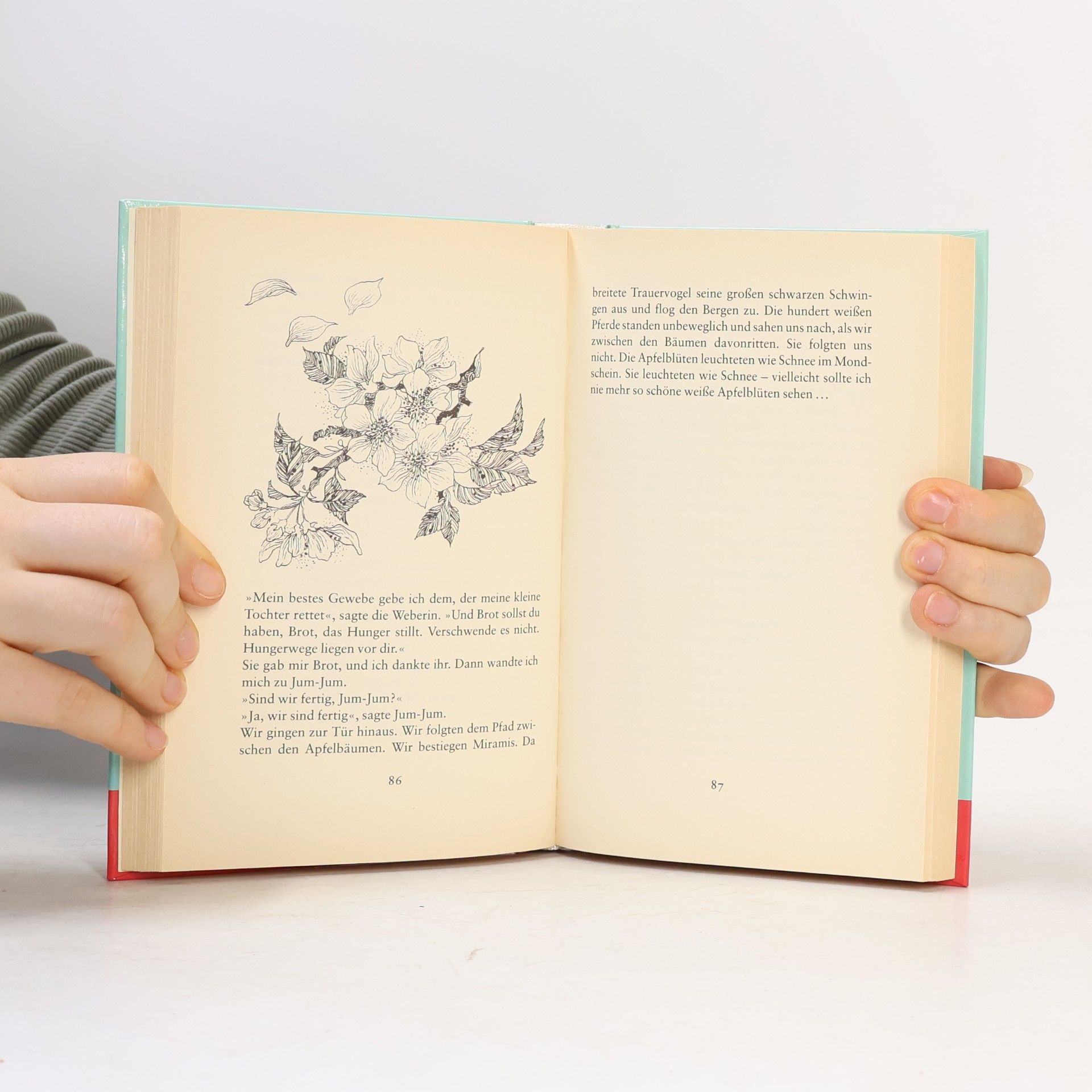 Astrid Lindgren Mio, Mein Mio