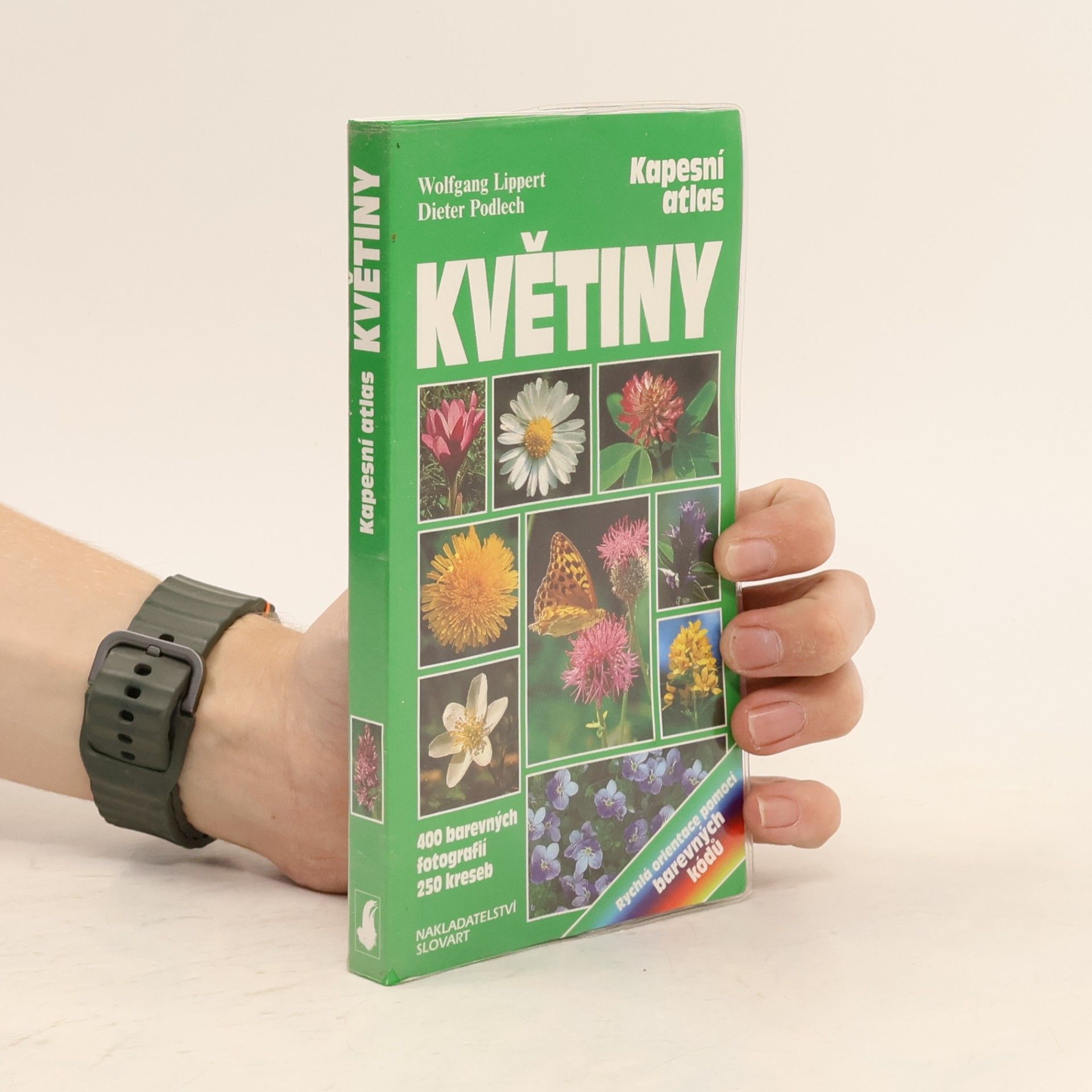 Wolfgang Lippert Květiny : poznávání a určování důležitých kvetoucích rostlin střední Evropy