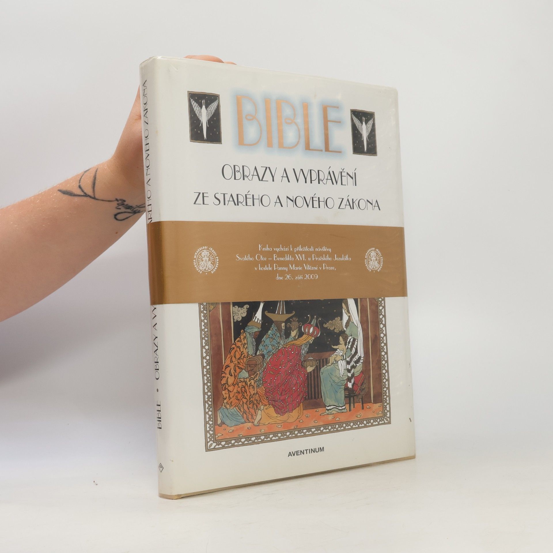 Renáta Fučíková Bible - obrazy a vyprávění ze Starého a Nového zákona