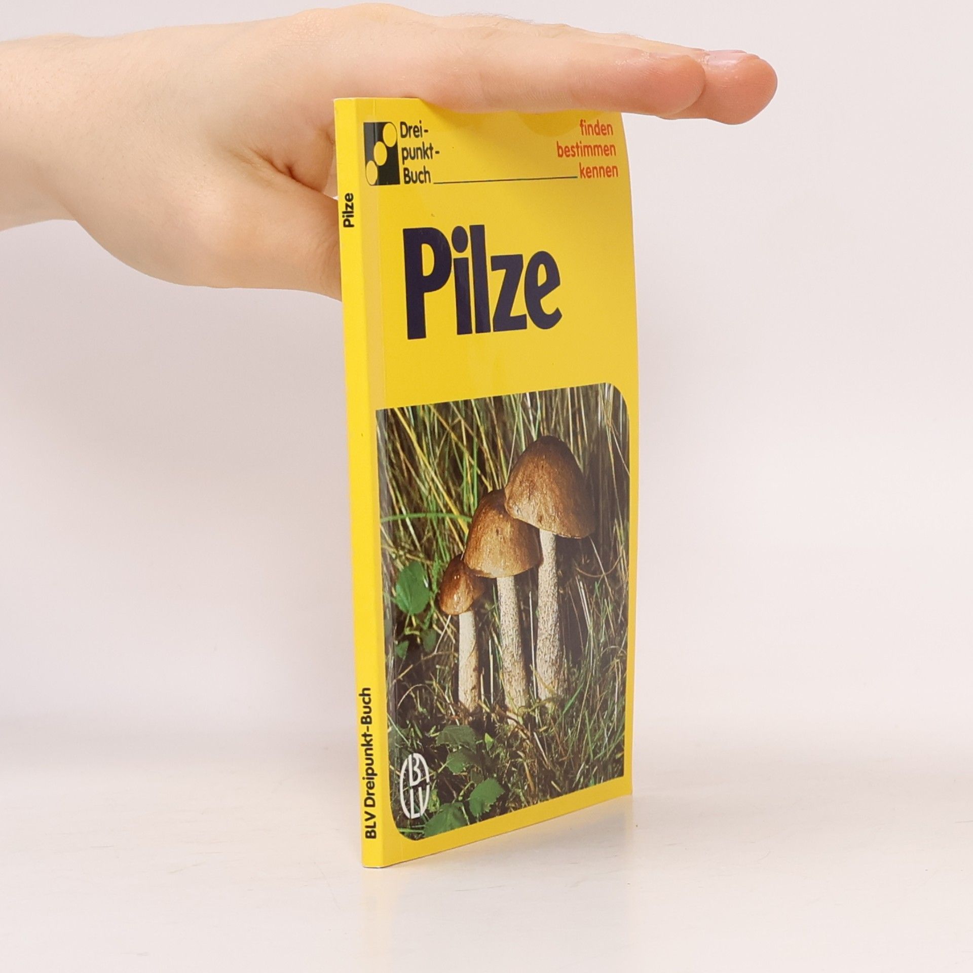 Alfred Handel Pilze