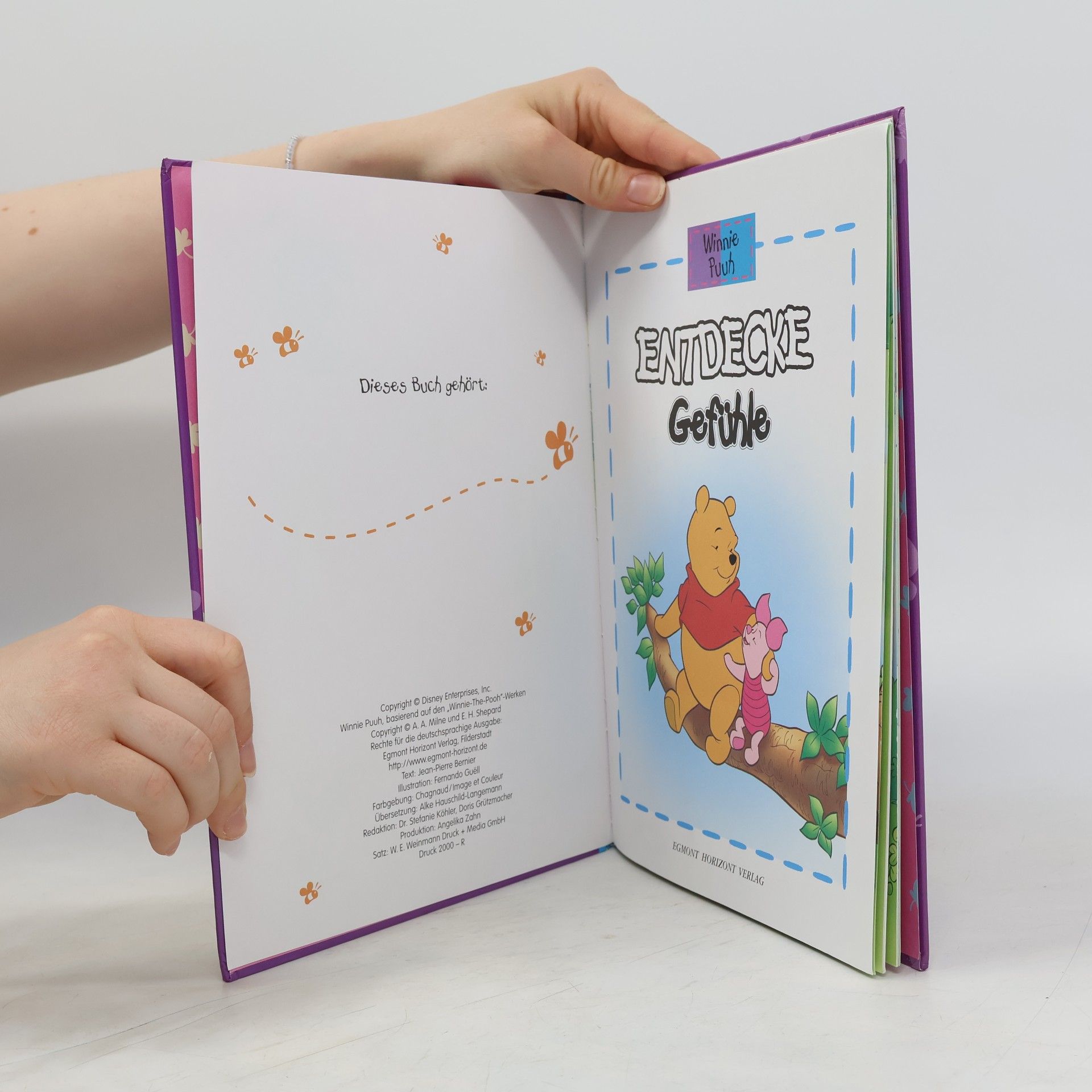 Kolektiv autorů Winnie Puuh. Entdecke Gefühle