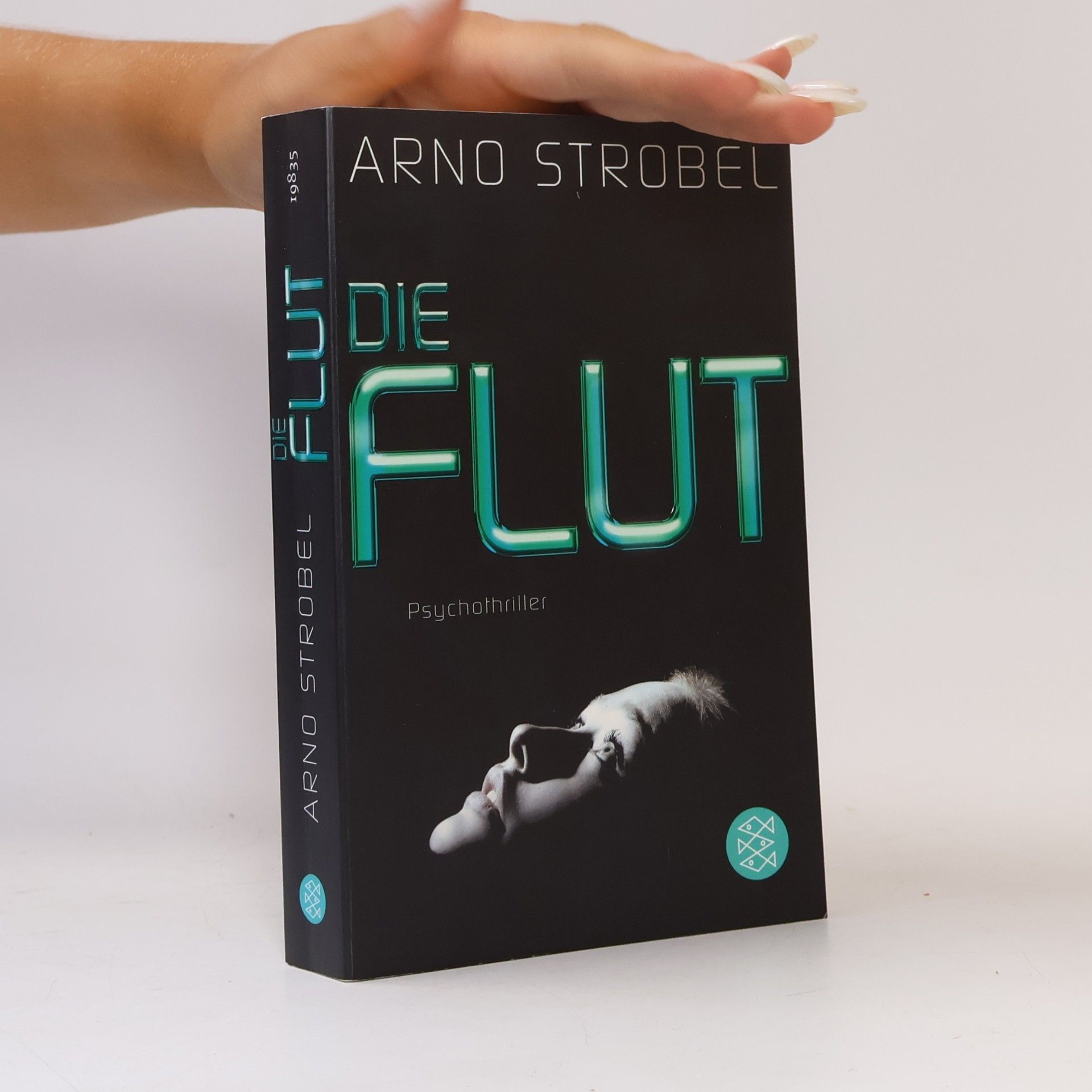 Arno Strobel Die Flut