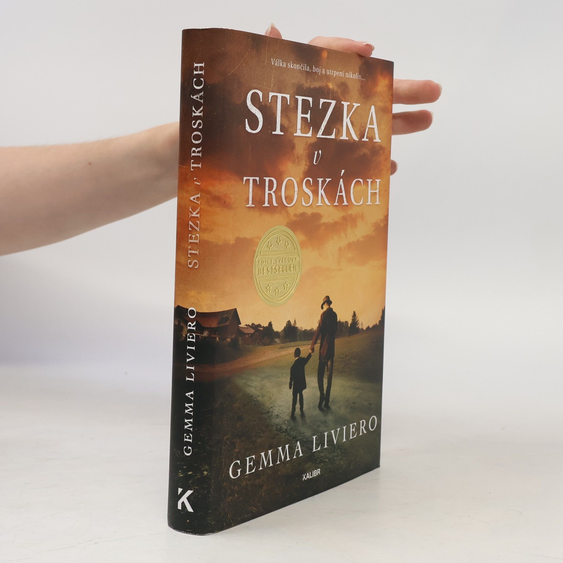 Stezka v troskách