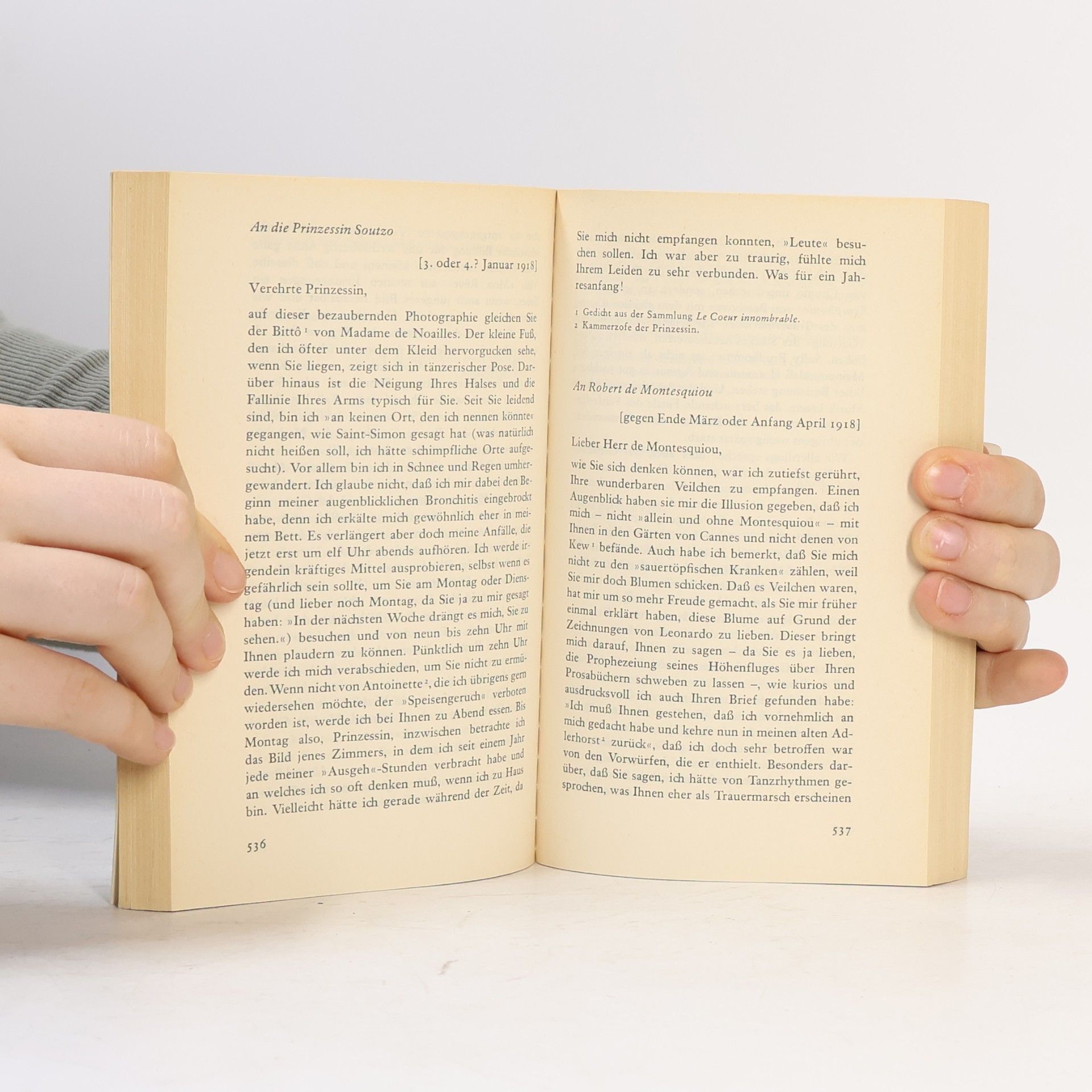 Marcel Proust Briefe zum Leben