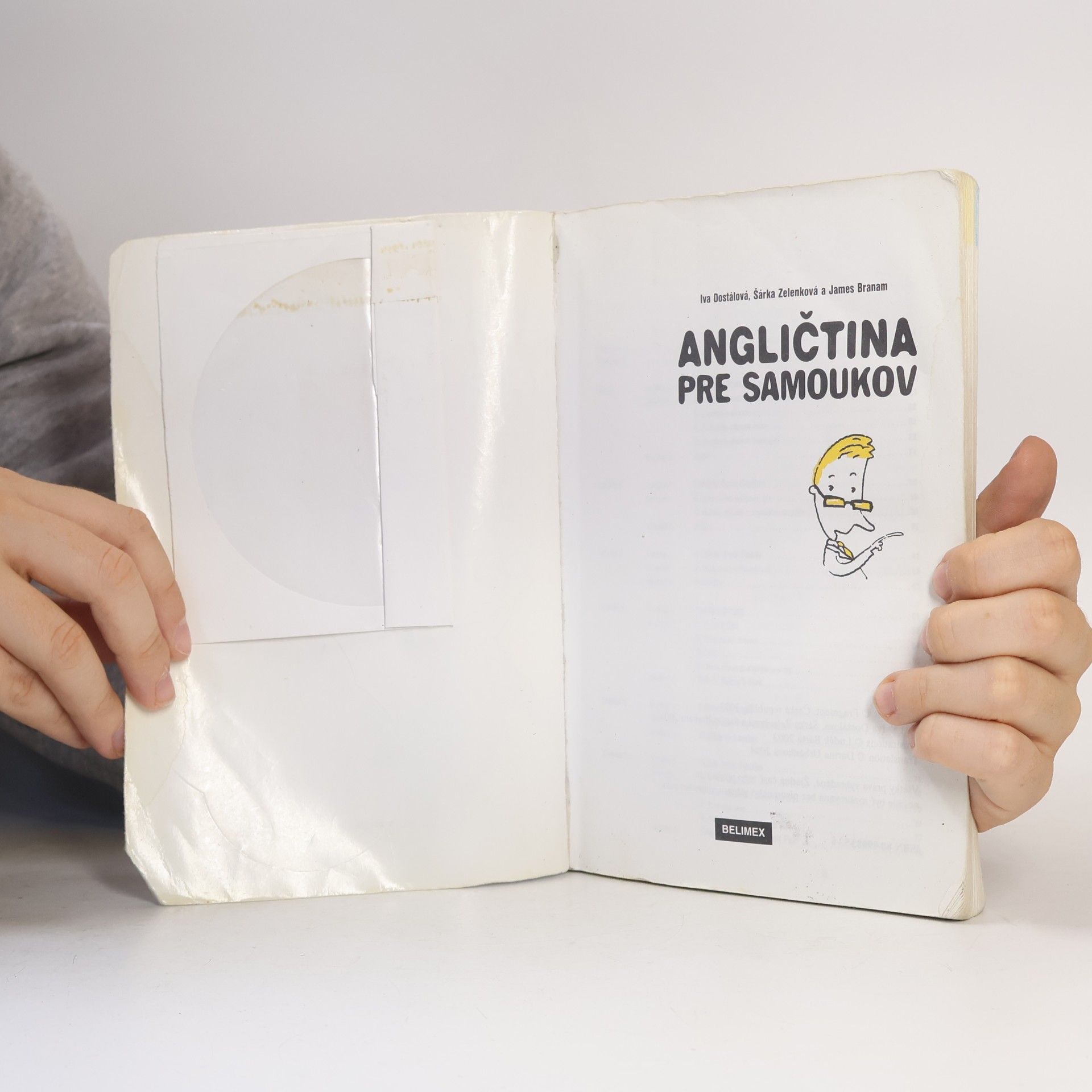 Iva Dostálová Angličtina pre samoukov