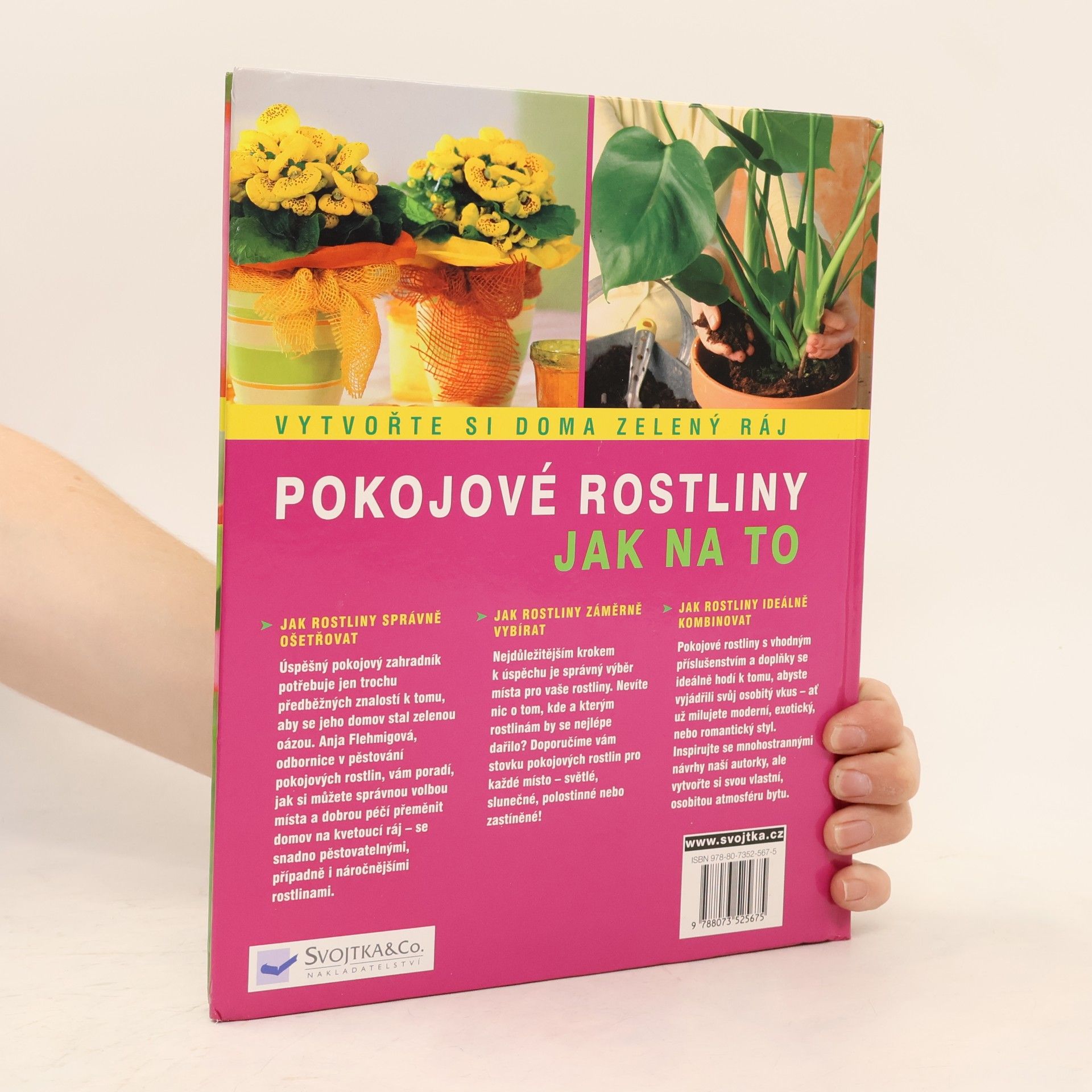 Anja Flehming Pokojové rostliny: Krok za krokem k zelenému ráji