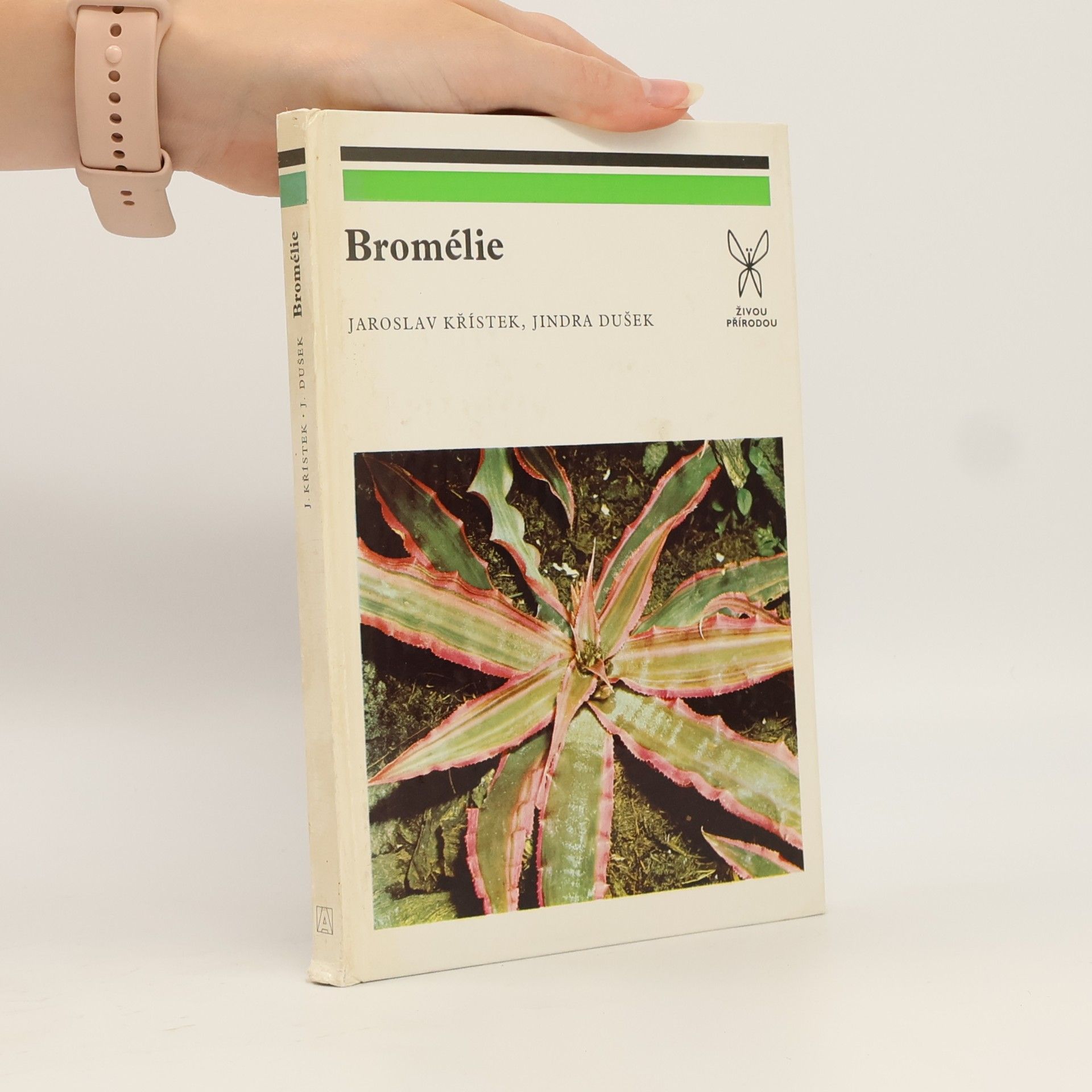 Jiří Ledr Bromélie