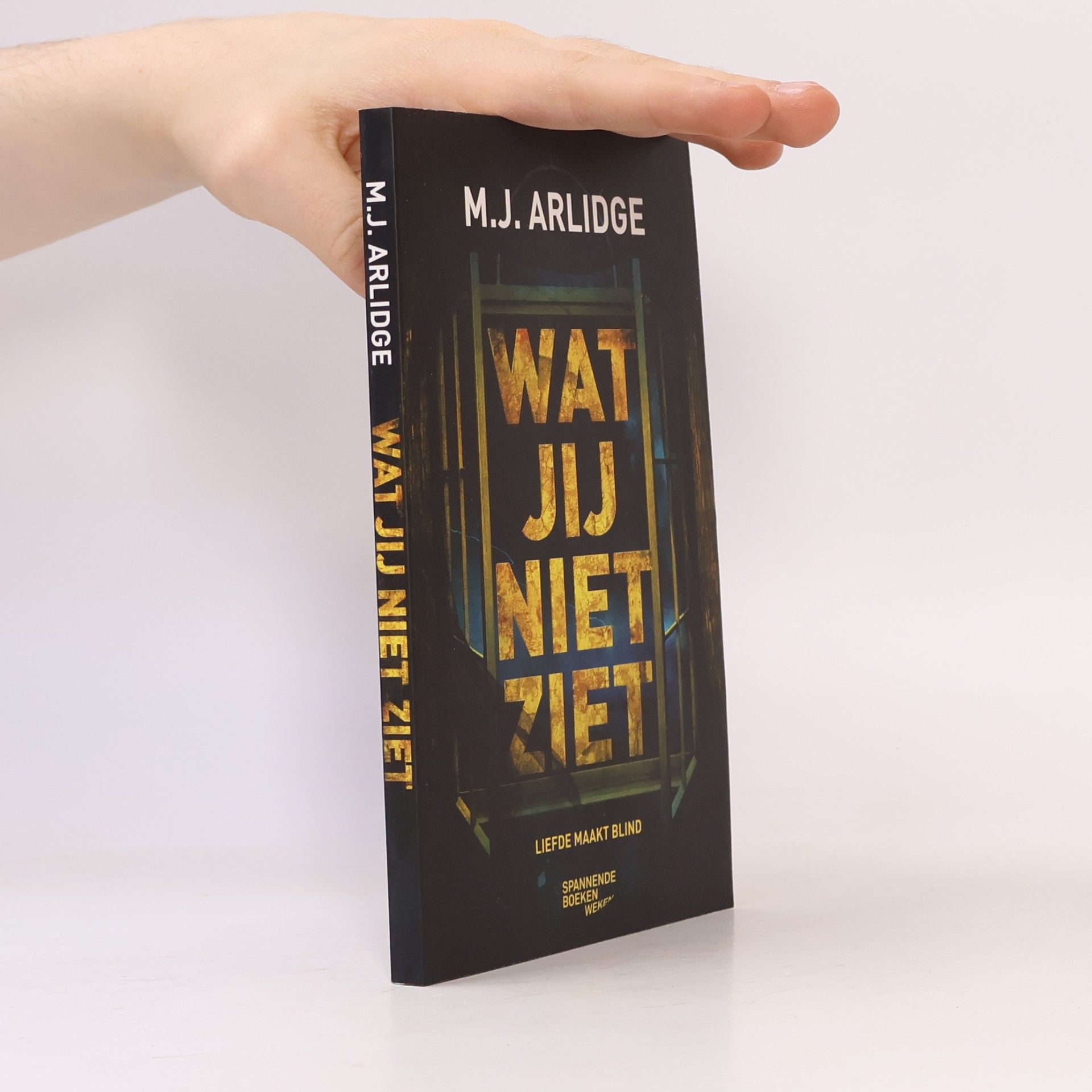 M. J. Arlidge Wat jij niet ziet