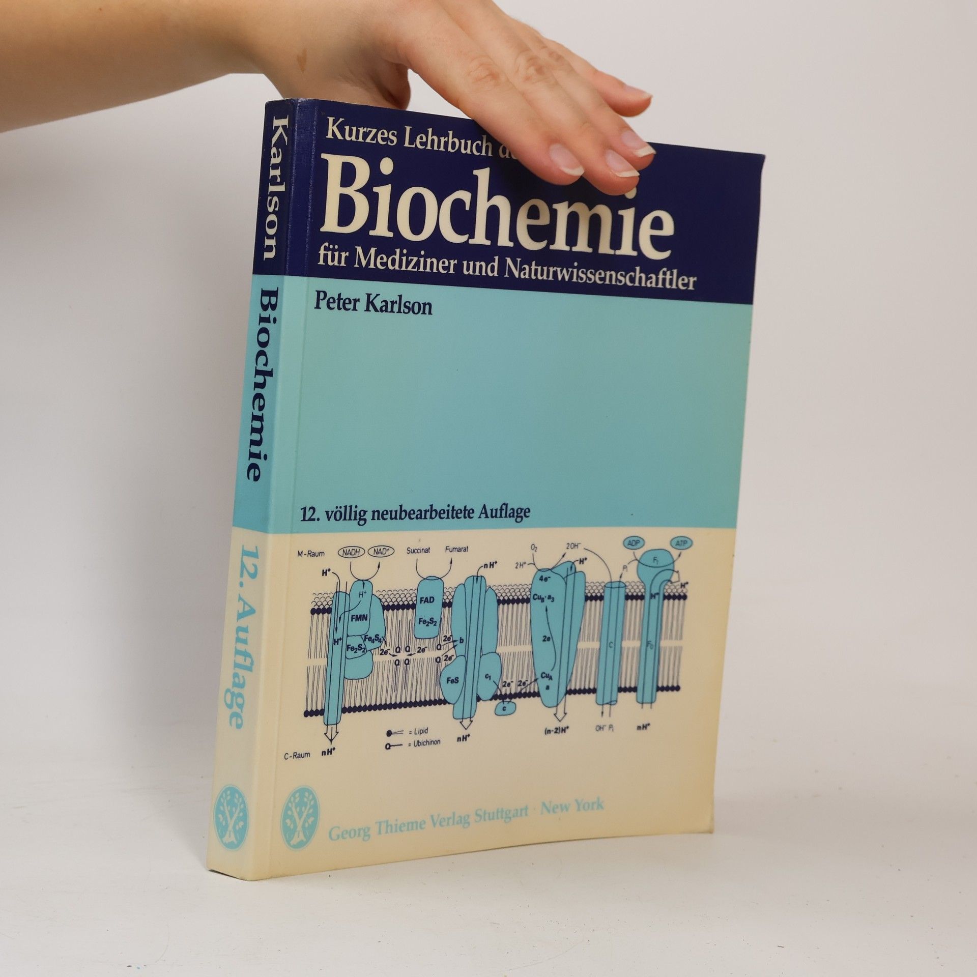Kurzes Lehrbuch der Biochemie für Mediziner und Naturwissenschaftler