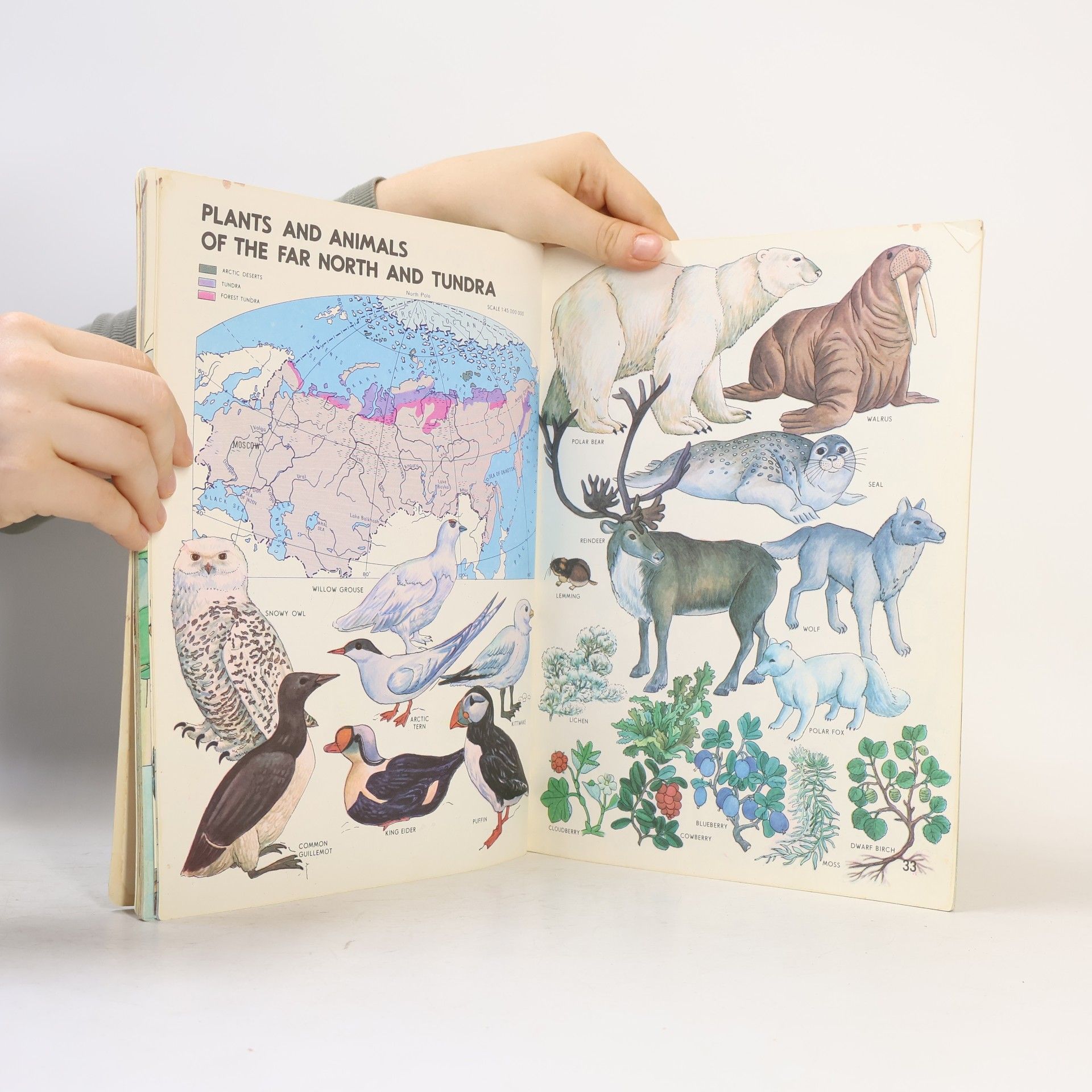 Various authors World and the Man