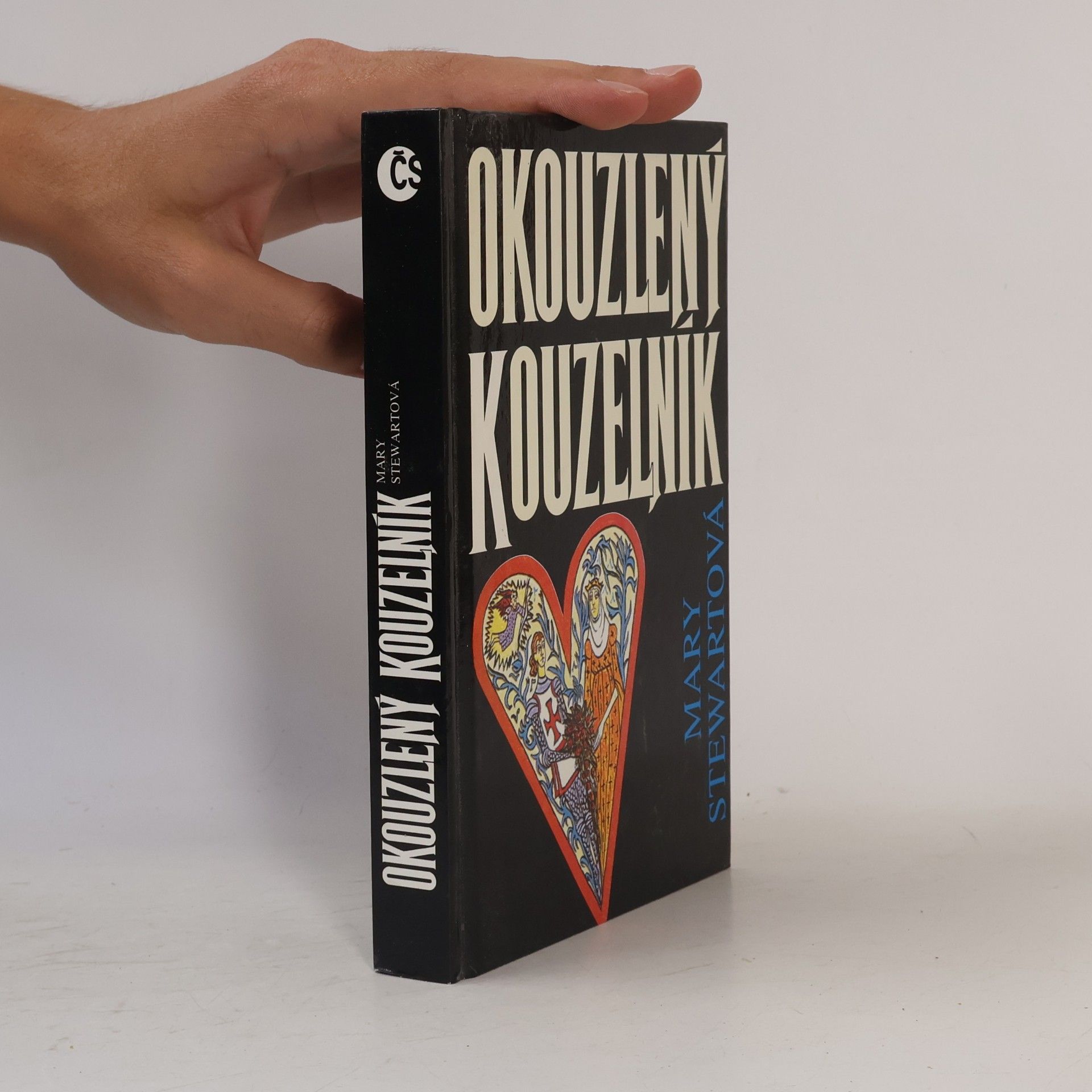Mary Stewart Okouzlený kouzelník