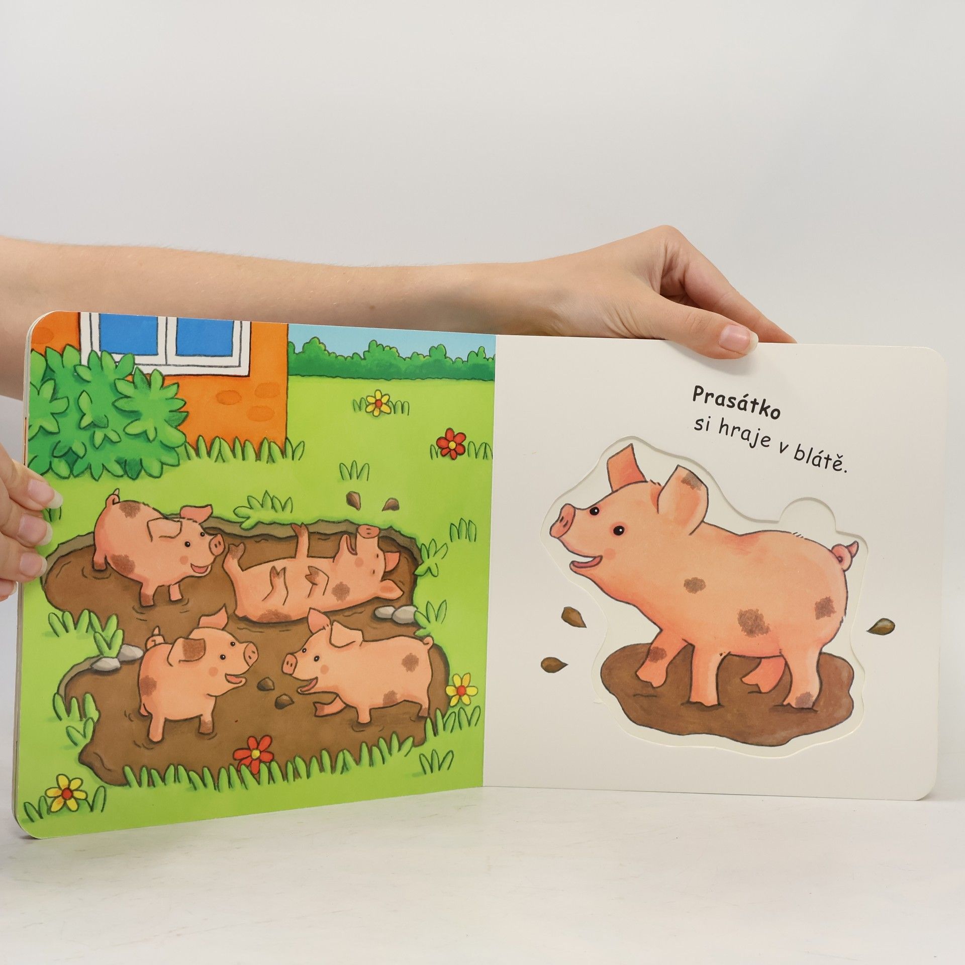 Vera Brüggemann Štěňátko: kniha s puzzle