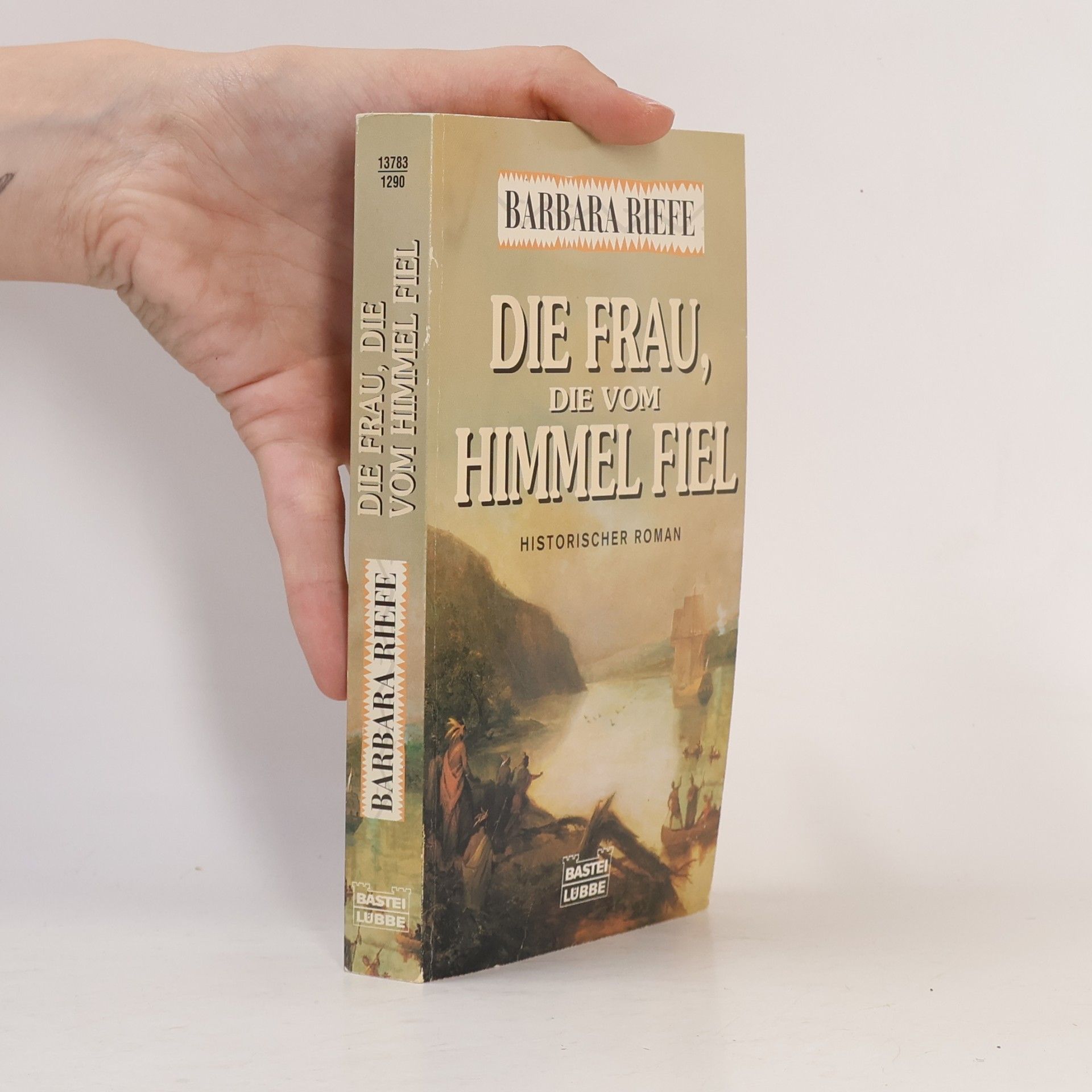 Barbara Riefe Die Frau, die vom Himmel fiel