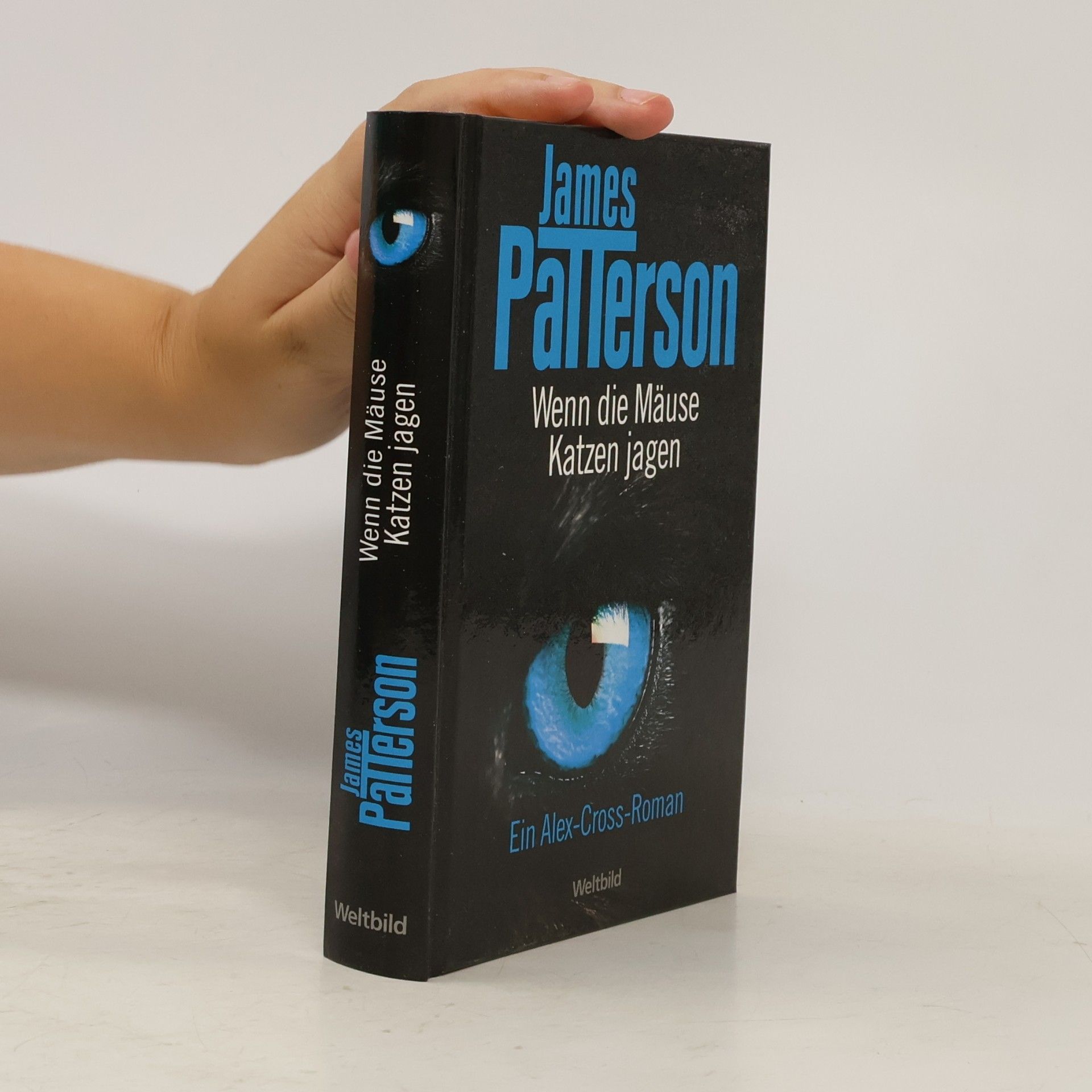 James Patterson Wenn die Mäuse Katzen jagen