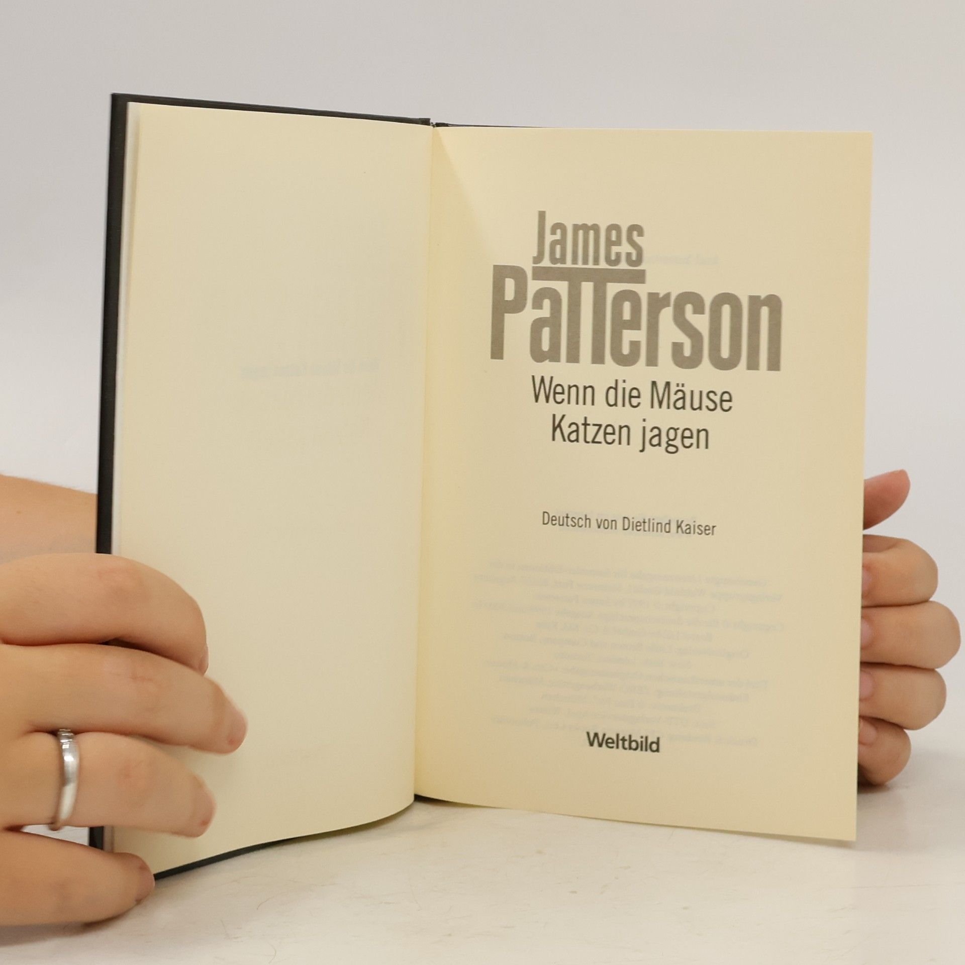 James Patterson Wenn die Mäuse Katzen jagen