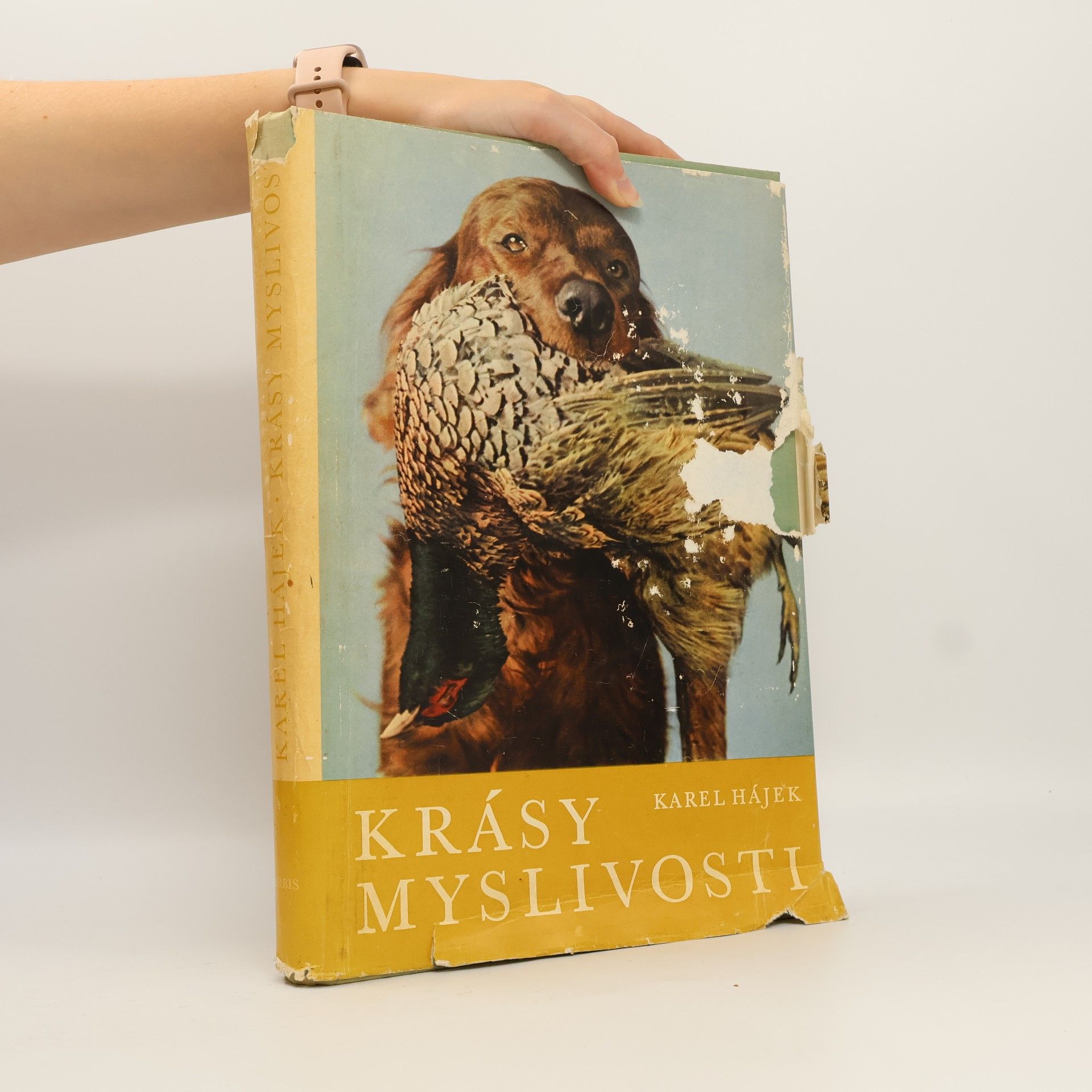 Karel Hájek Krásy myslivosti