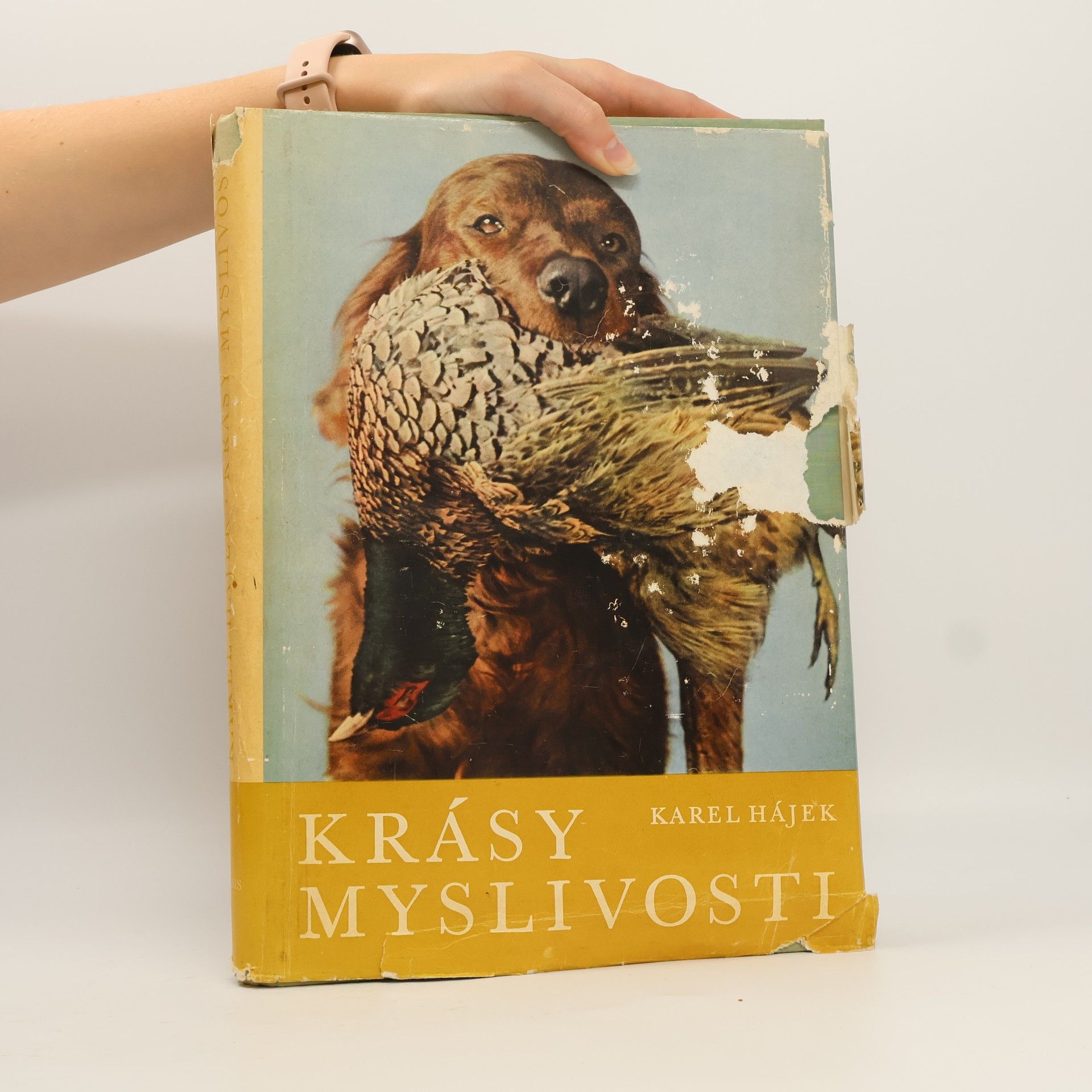 Karel Hájek Krásy myslivosti