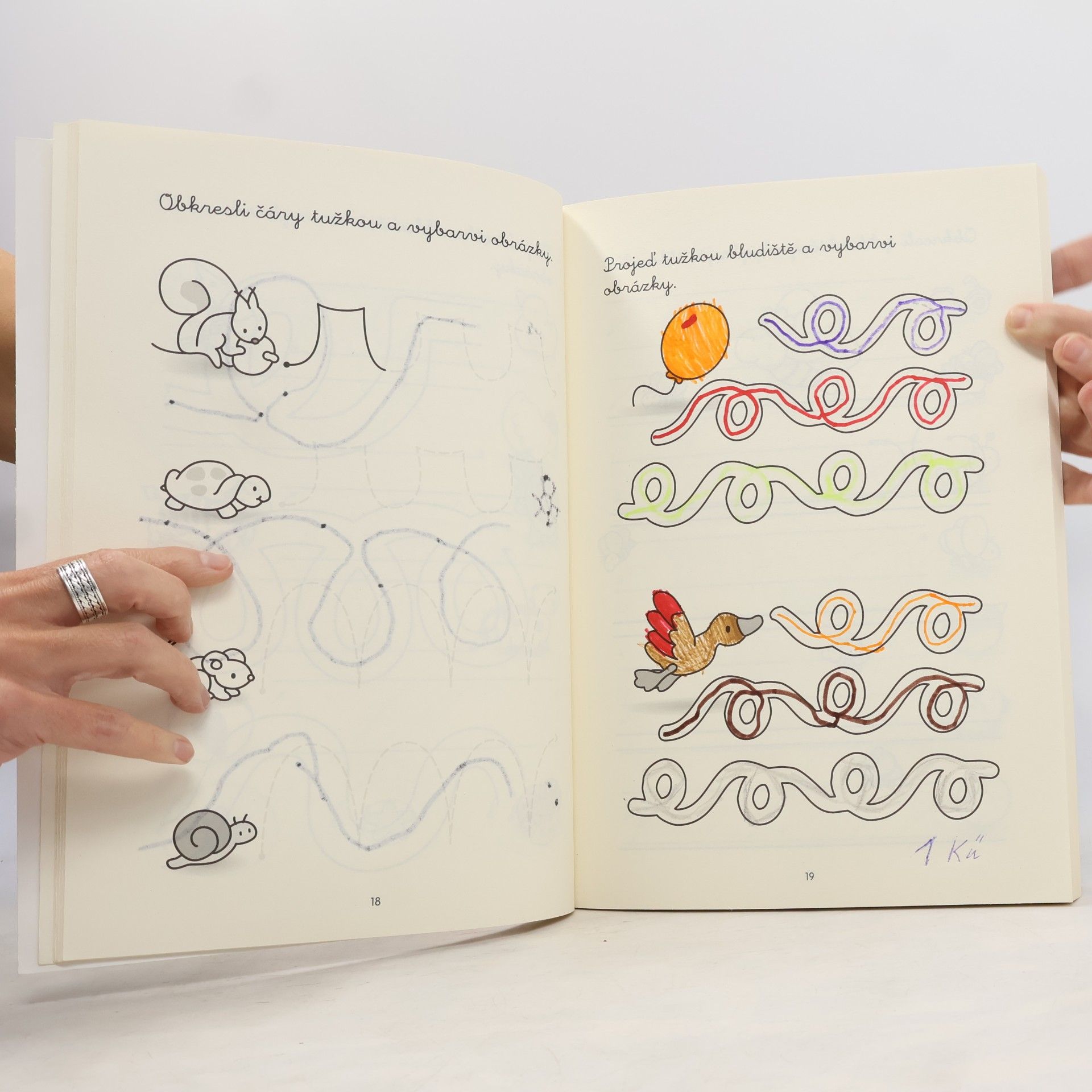 Various authors Velká kniha PŘEDŠKOLÁK - Co mám znát do školy