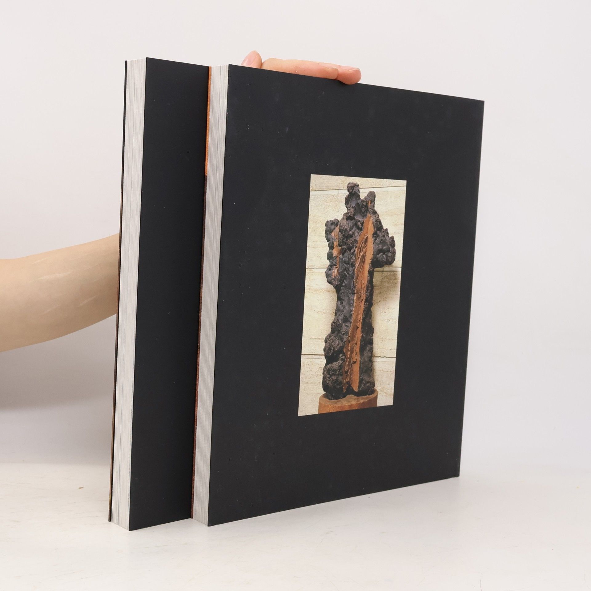 Various authors La collezione BNL I.-II.