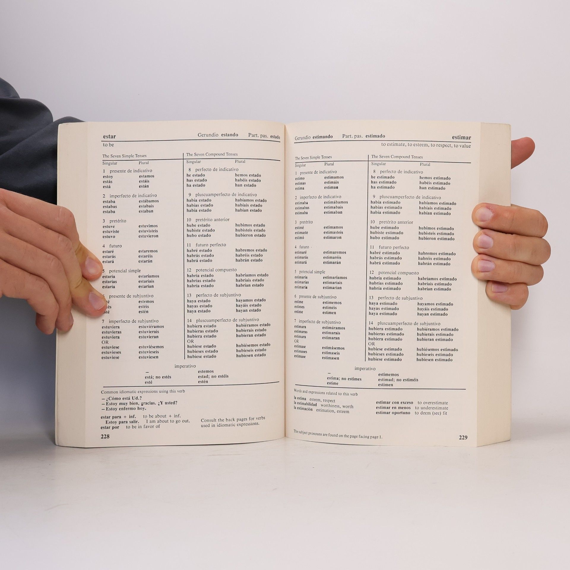 Christopher Kendris 501 Spanish Verbs