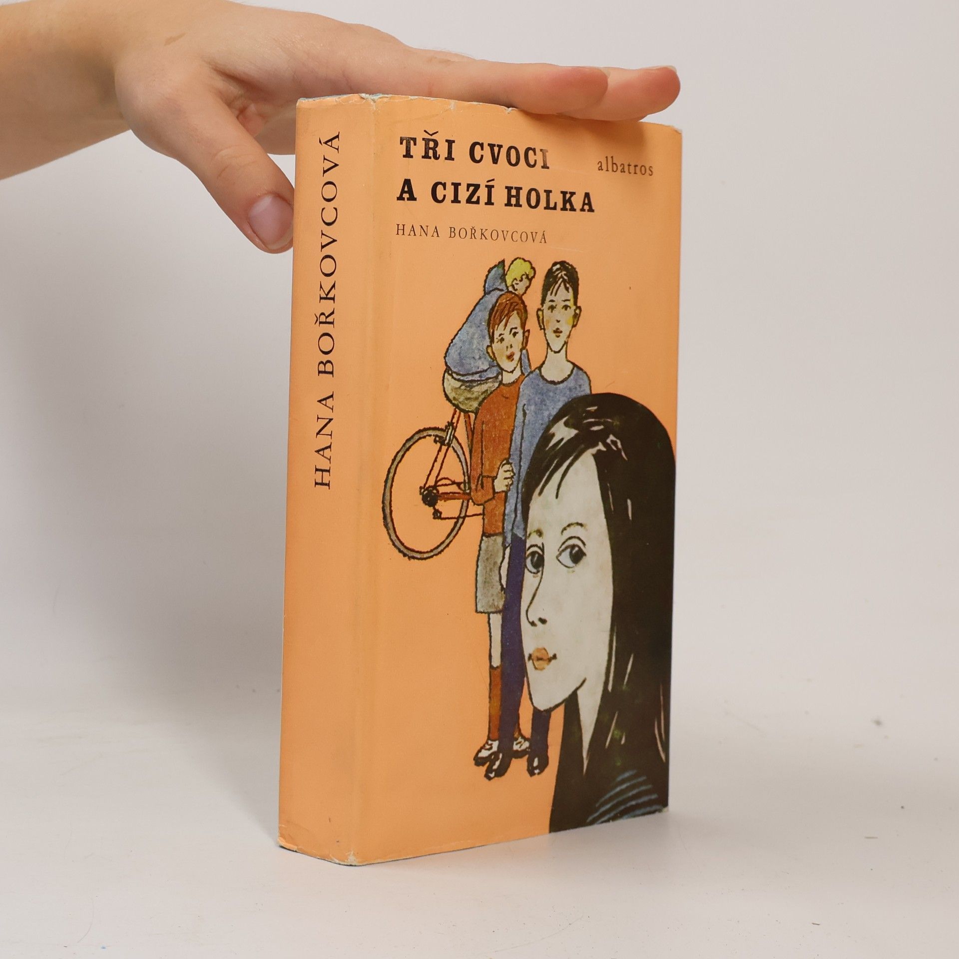Hana Bořkovcová Tři cvoci a cizí holka