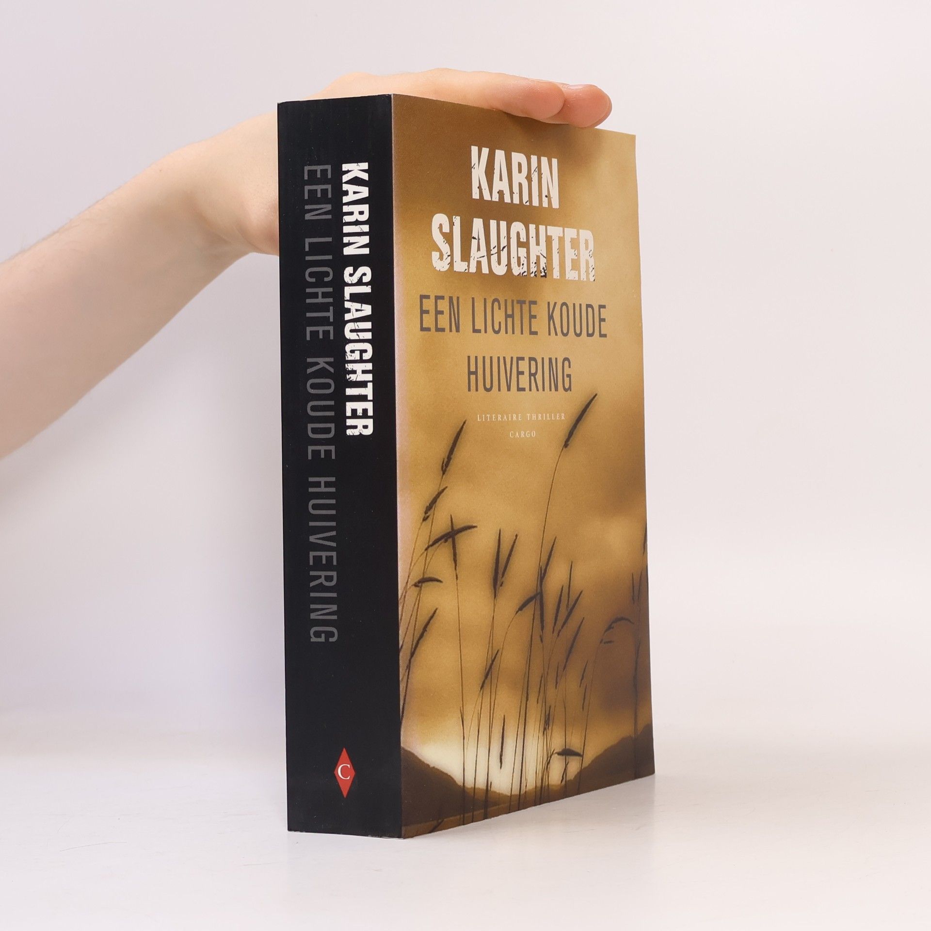Karin Slaughter Een lichte koude huivering