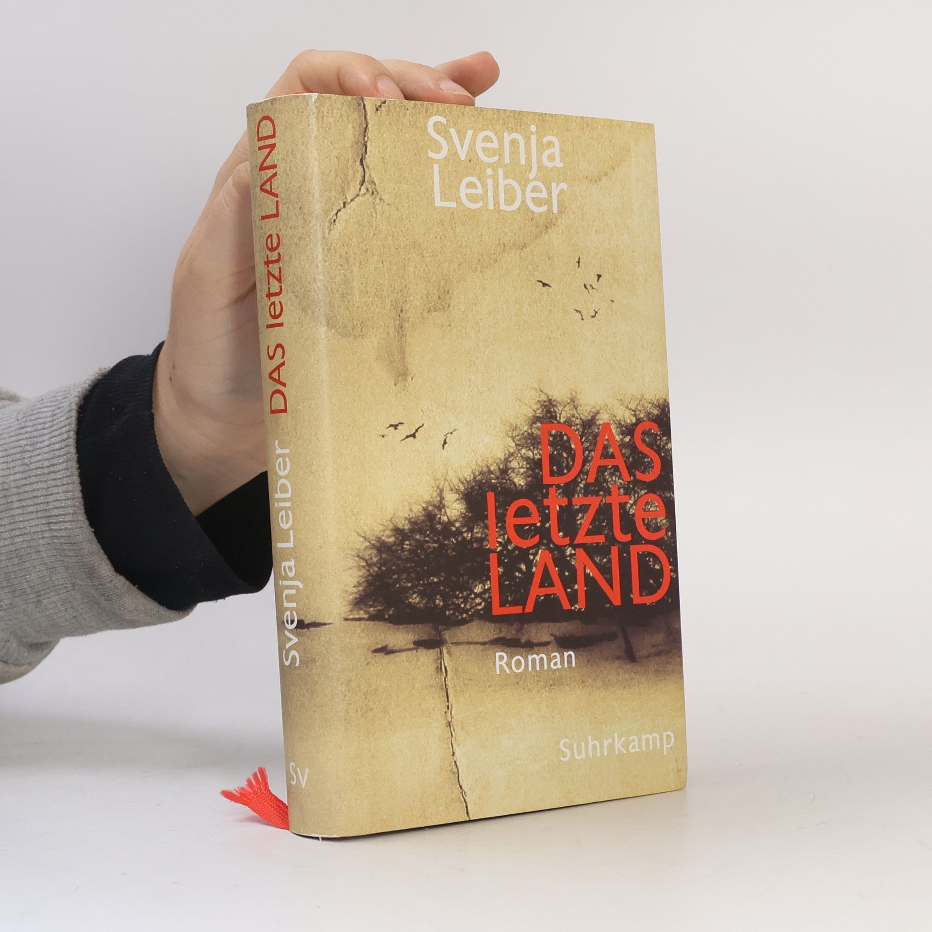 Svenja Leiber Das letzte Land