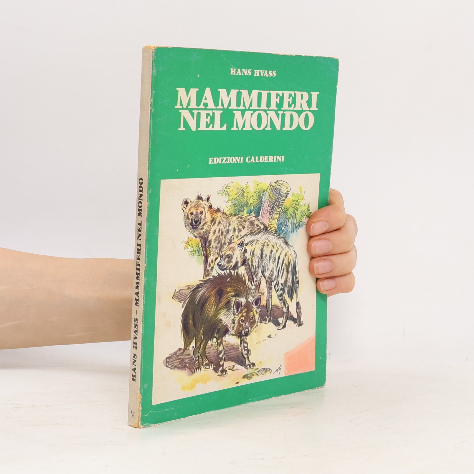Mammiferi nel mondo