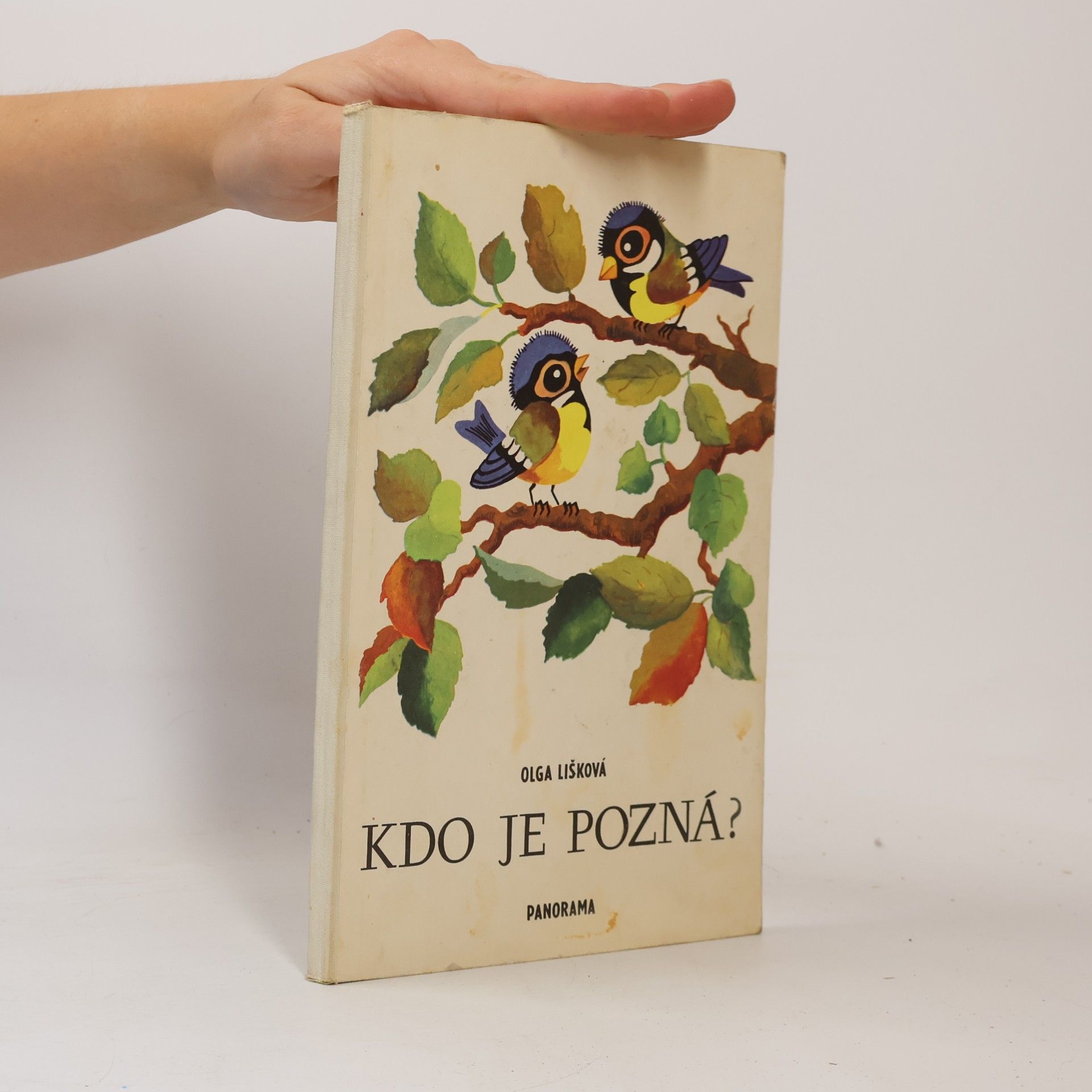 Olga Lišková Kdo je pozná?