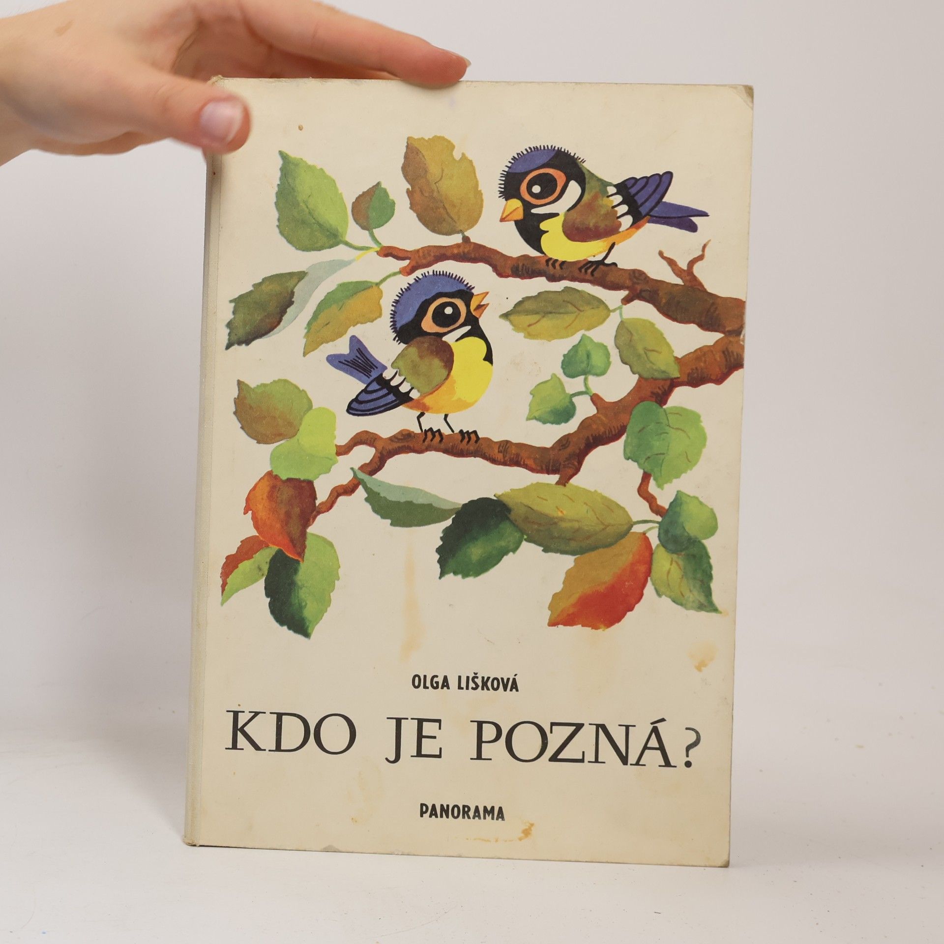 Olga Lišková Kdo je pozná?