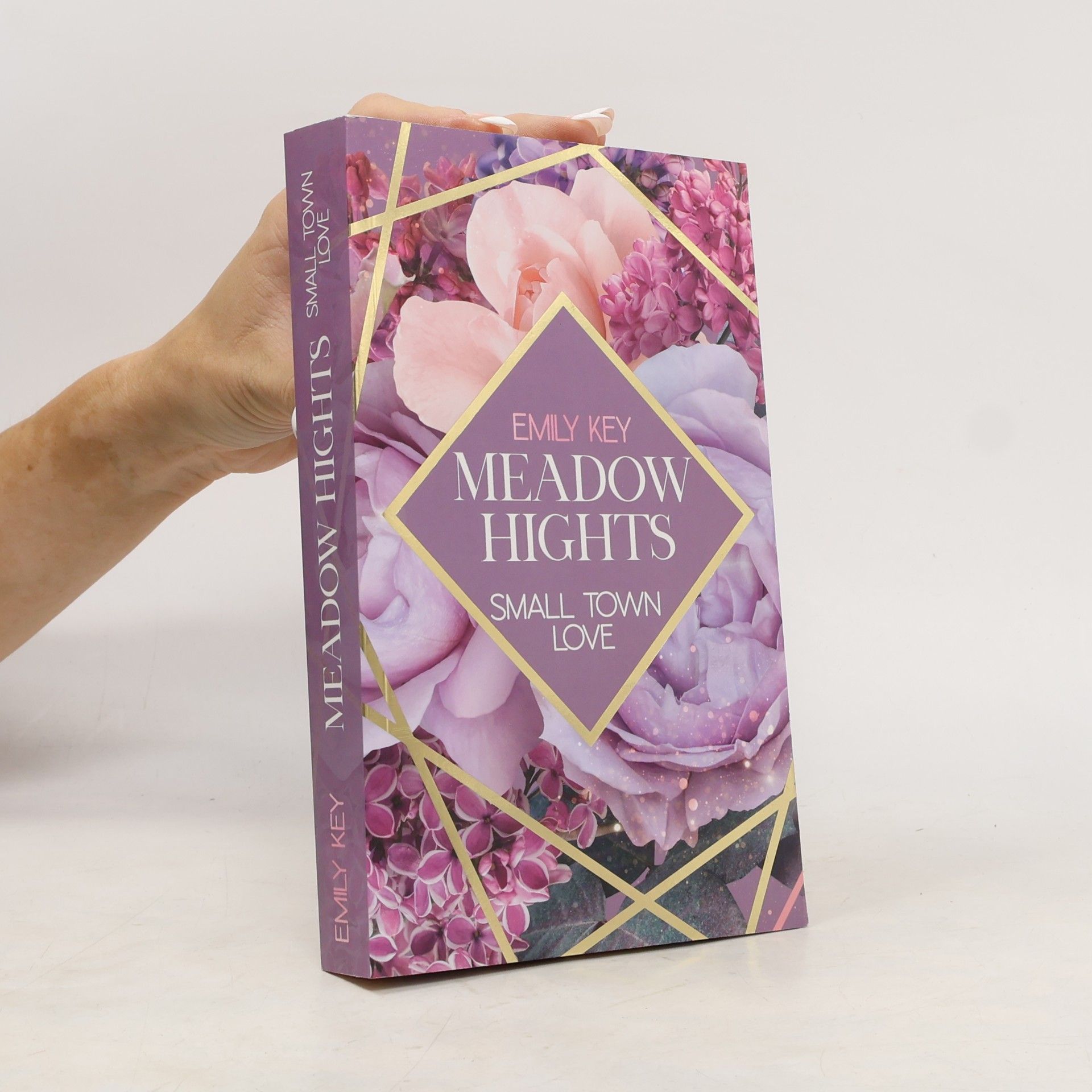 Emily Key Meadow Hights: Small Town Love
