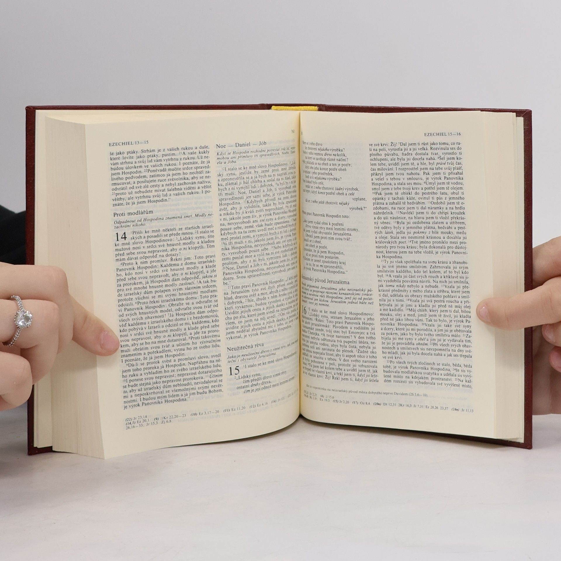 Kolektiv autorů Bible. Písmo svaté Starého i Nového zákona