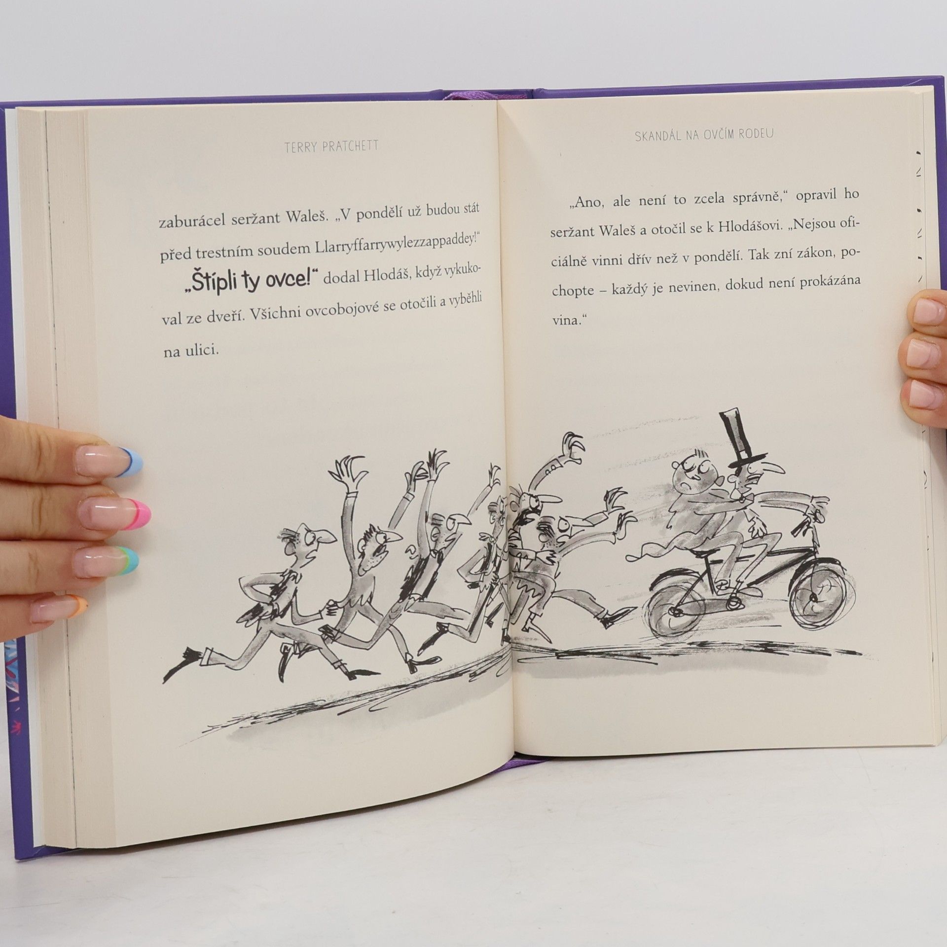 Terry Pratchett Ježibabin vysavač a jiné příběhy