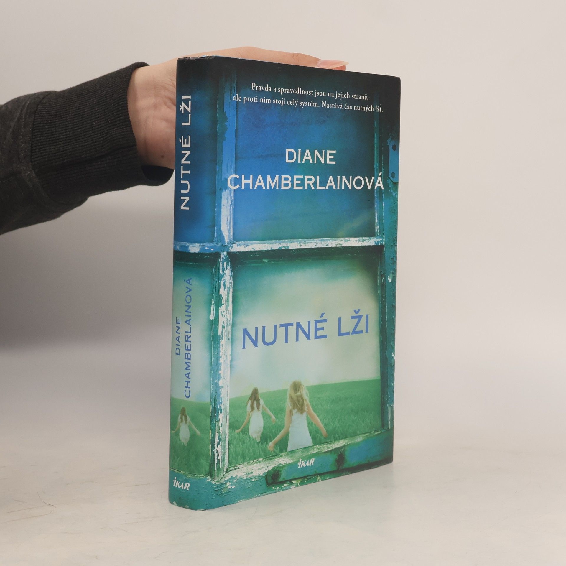 Diane Chamberlain Nutné lži