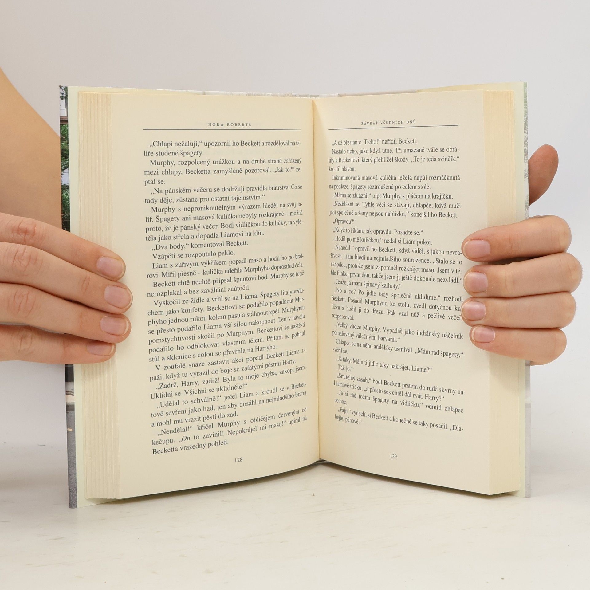 Nora Roberts Závrať všedních dnů