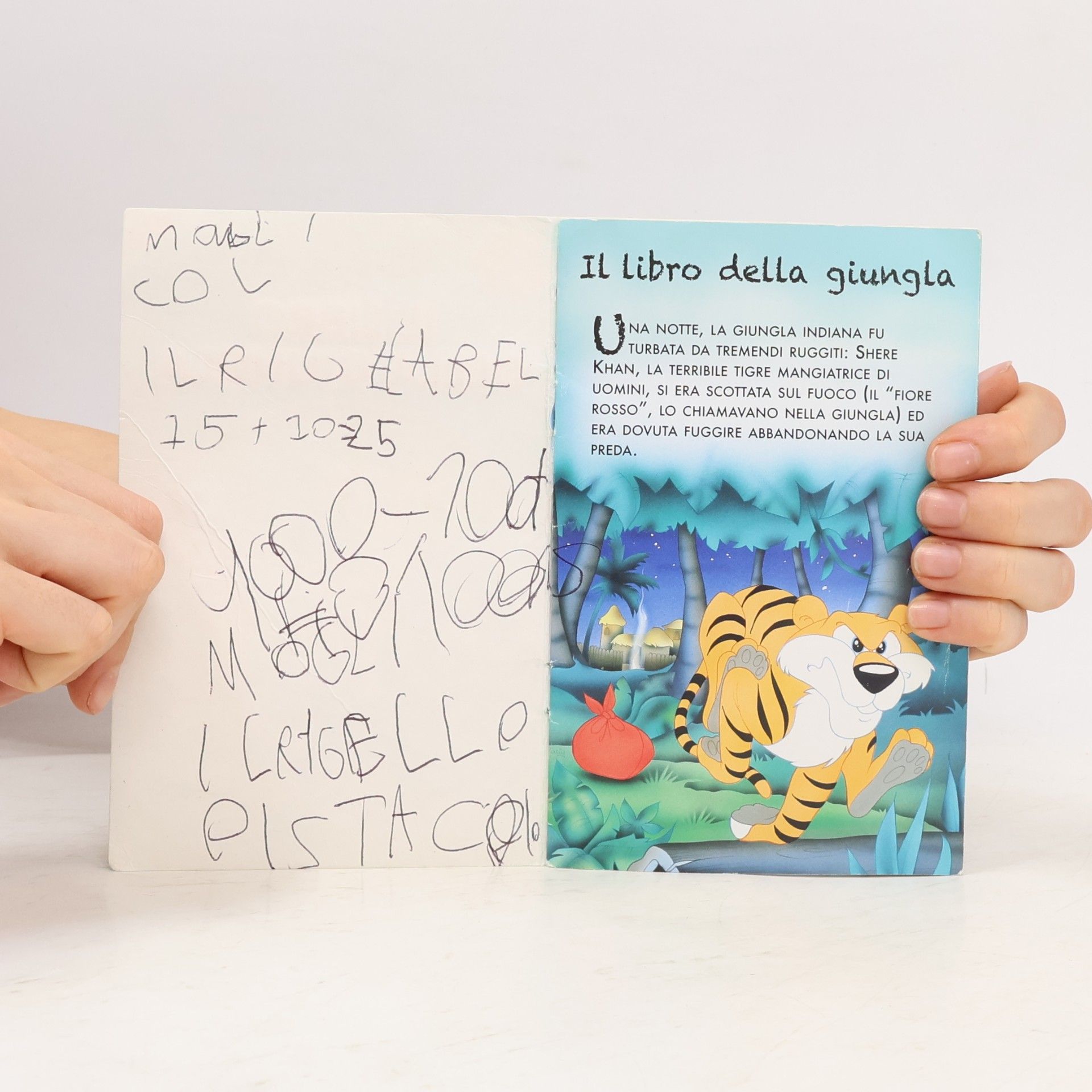 Collectif d'auteurs Il gatto con gli stivali
