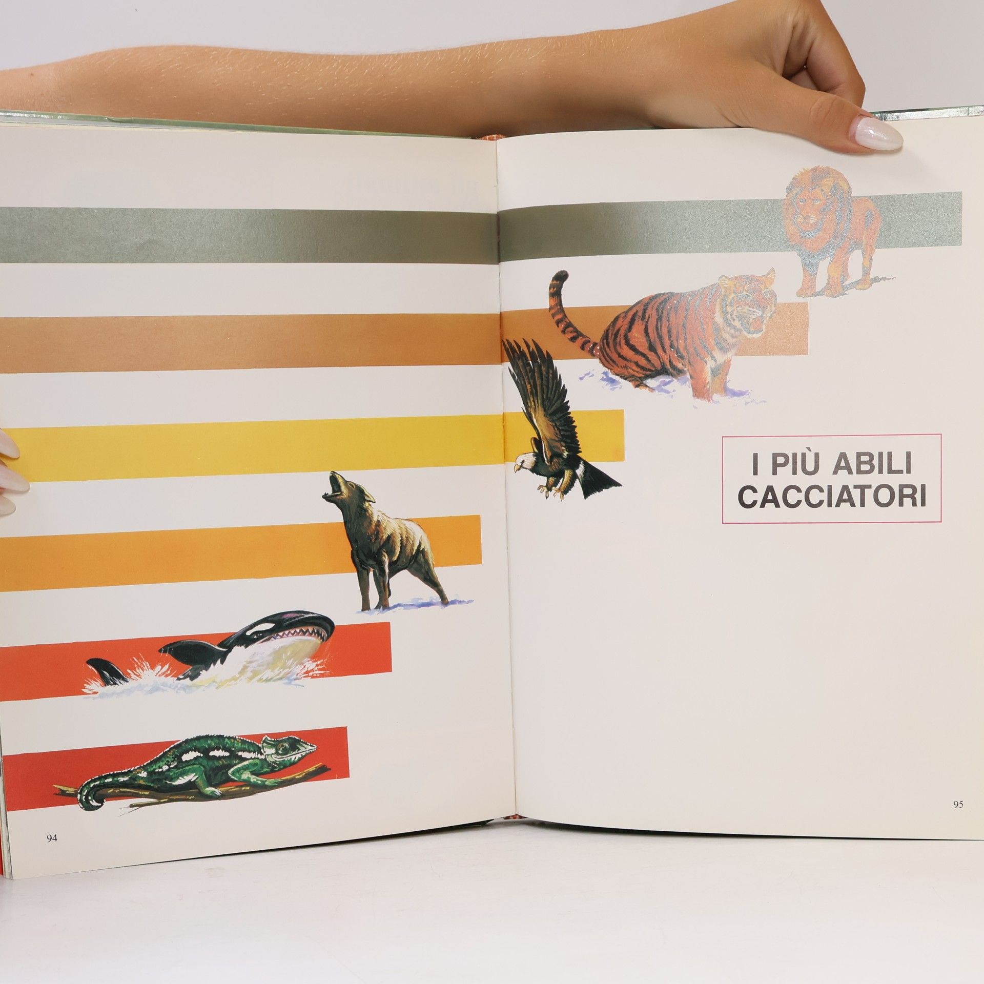 A. Beaumont I primi libri - 25: Fauna curiosa. Gli animali «Più»