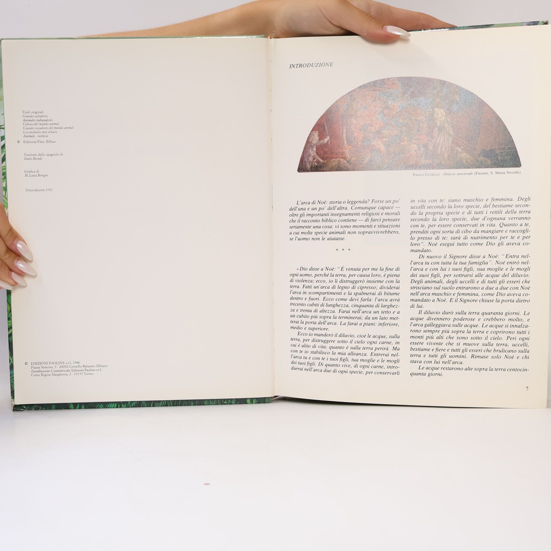 A. Beaumont I primi libri - 25: Fauna curiosa. Gli animali «Più»