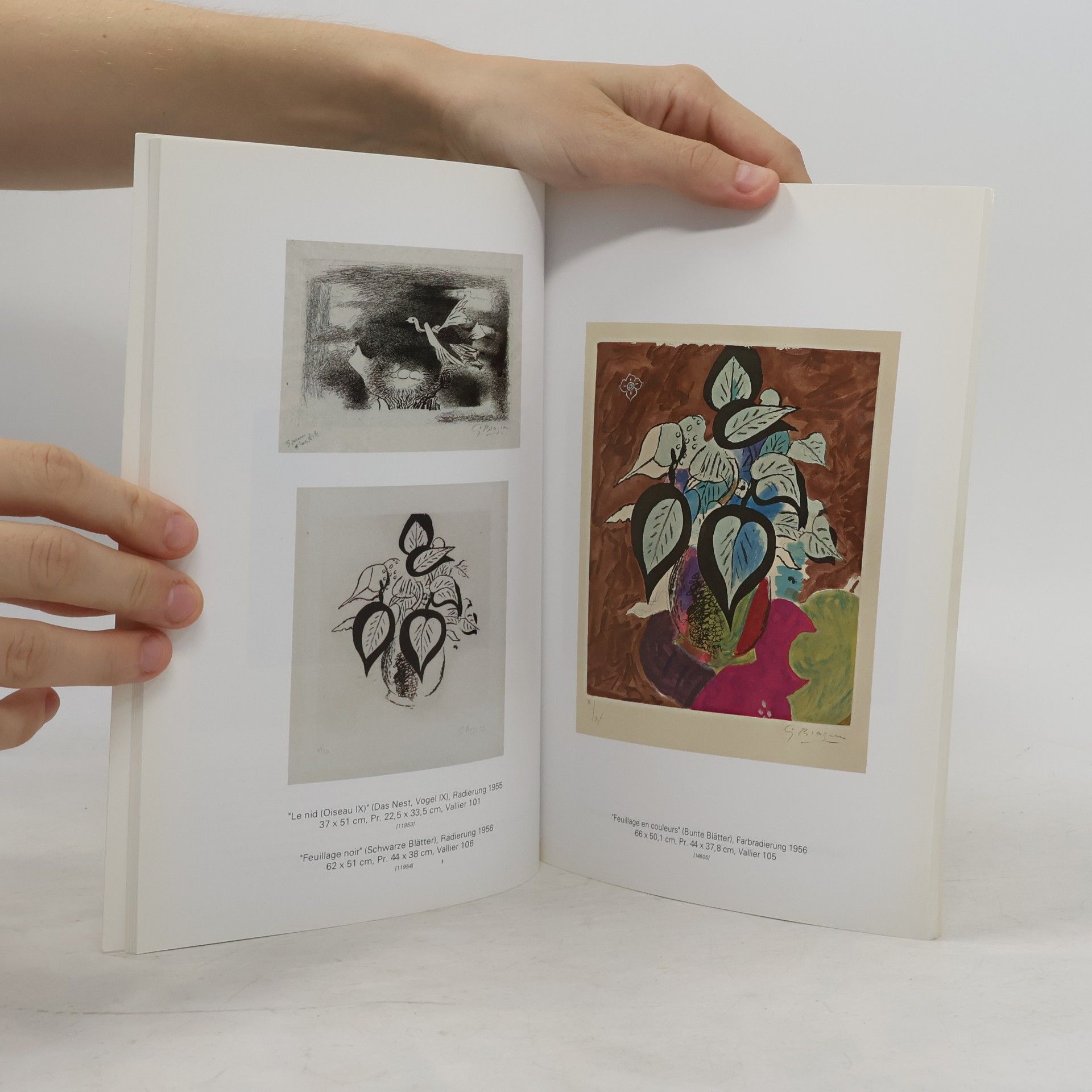 Various authors Georges Braque