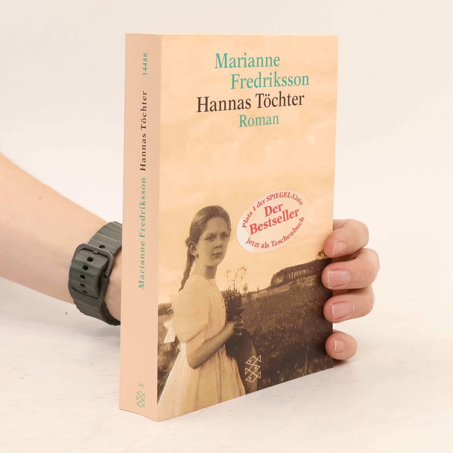 Marianne Fredriksson Hannas Töchter