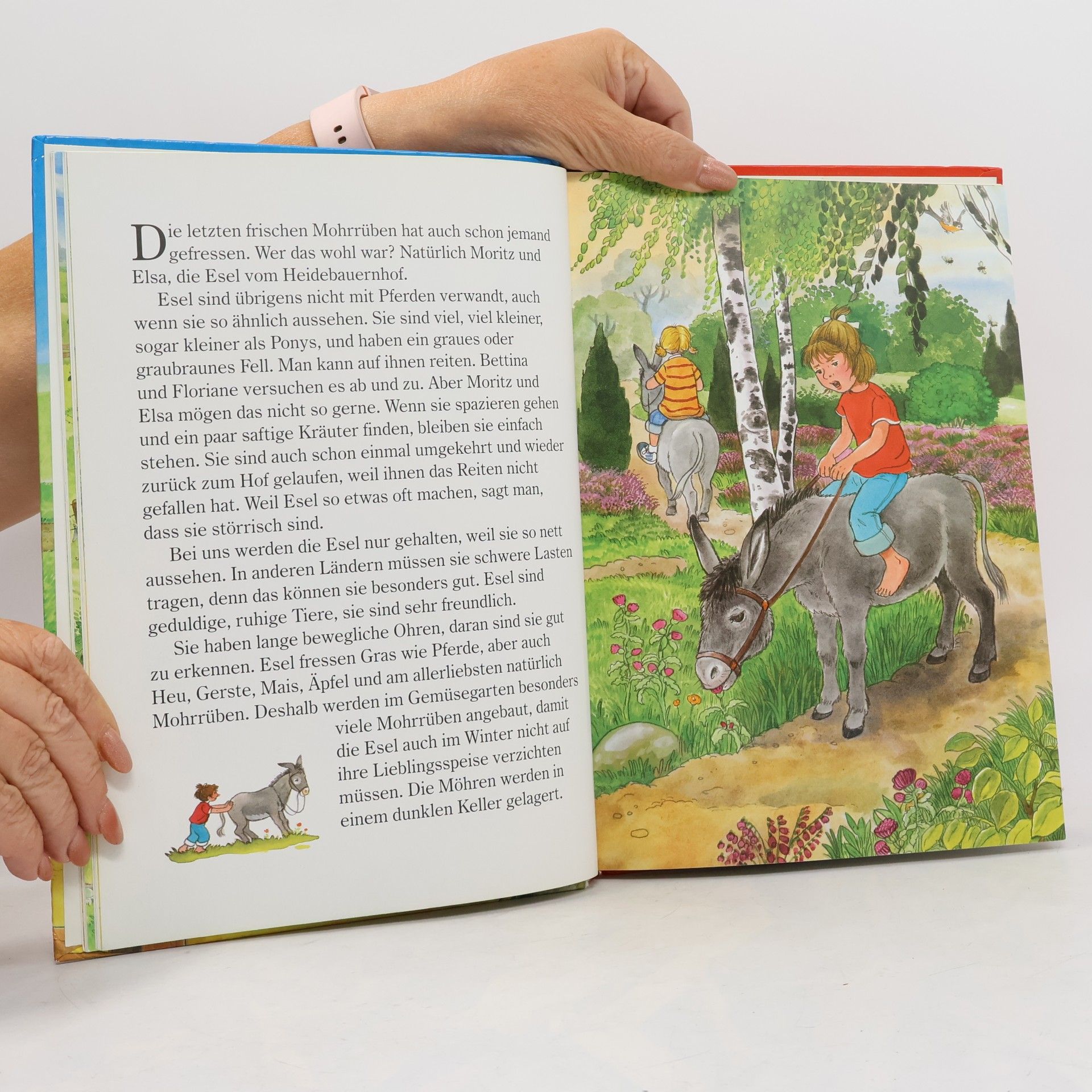 Autorenkollektiv Mein großes Buch vom Bauernhof