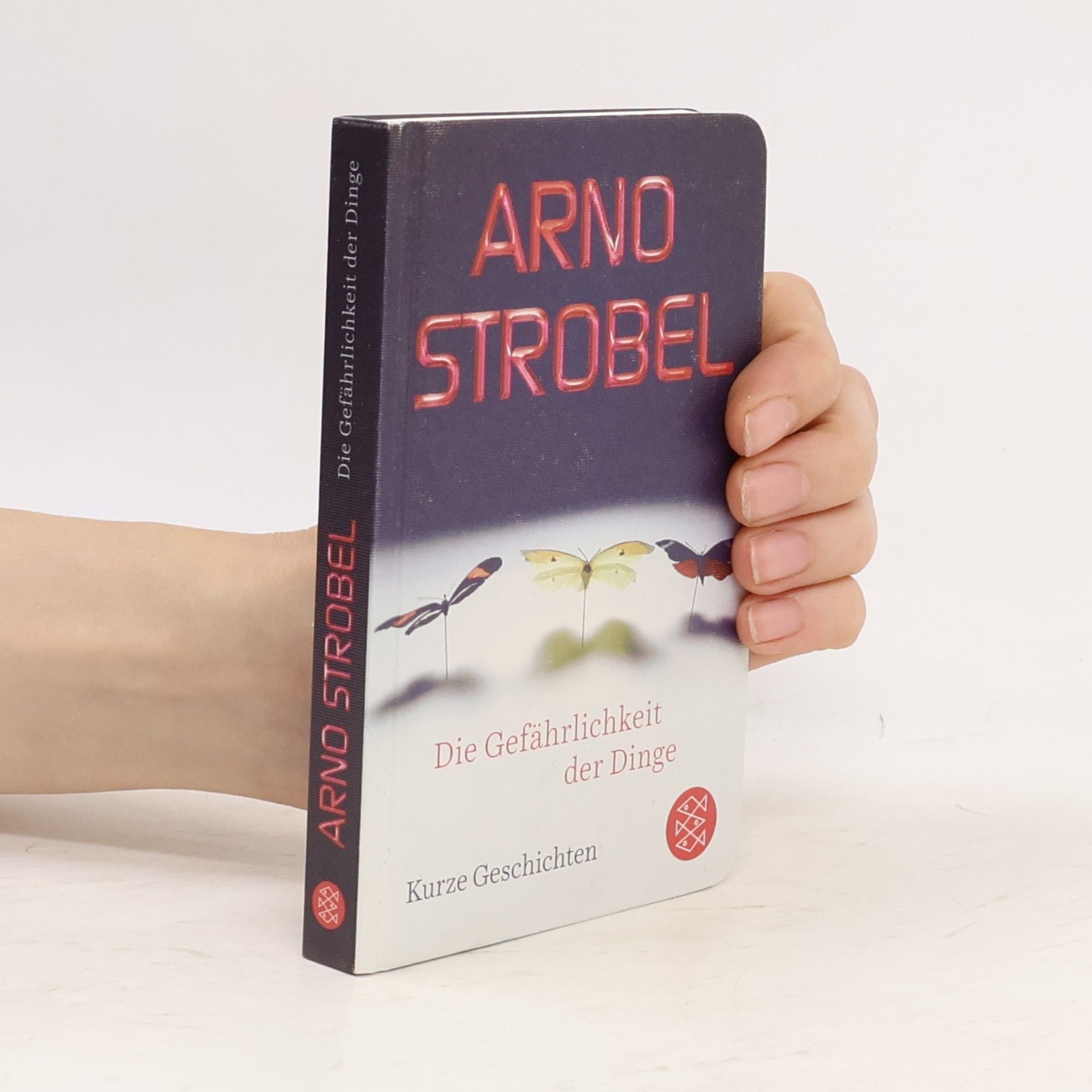 Arno Strobel Die Gefährlichkeit der Dinge