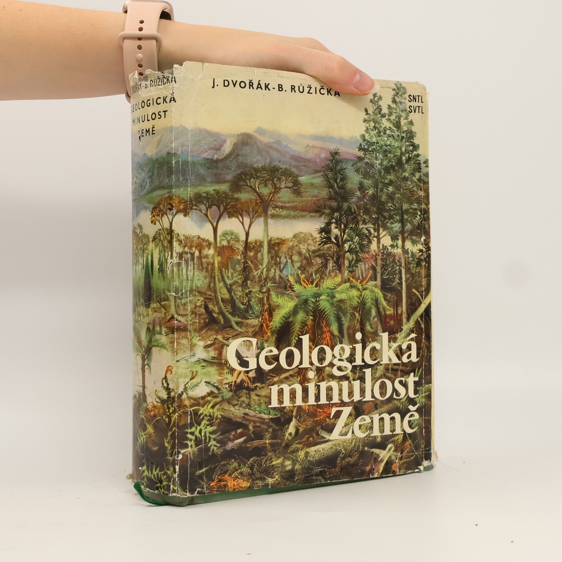 Bohuslav Růžička Geologická minulost Země